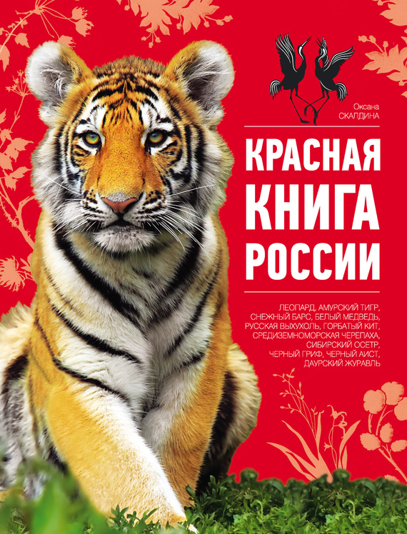 Красная книга россии для детей скачать бесплатно