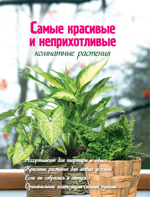 Книга про комнатные растения скачать бесплатно
