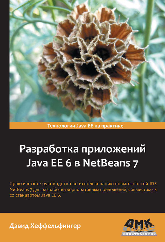 Разработка приложений Java EE 6 в NetBeans 7 - Дэвид Хеффельфингер