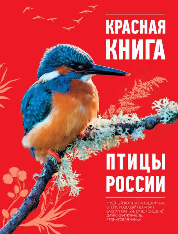 Красная книга птицы скачать