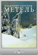 Владимир Сорокин — Метель