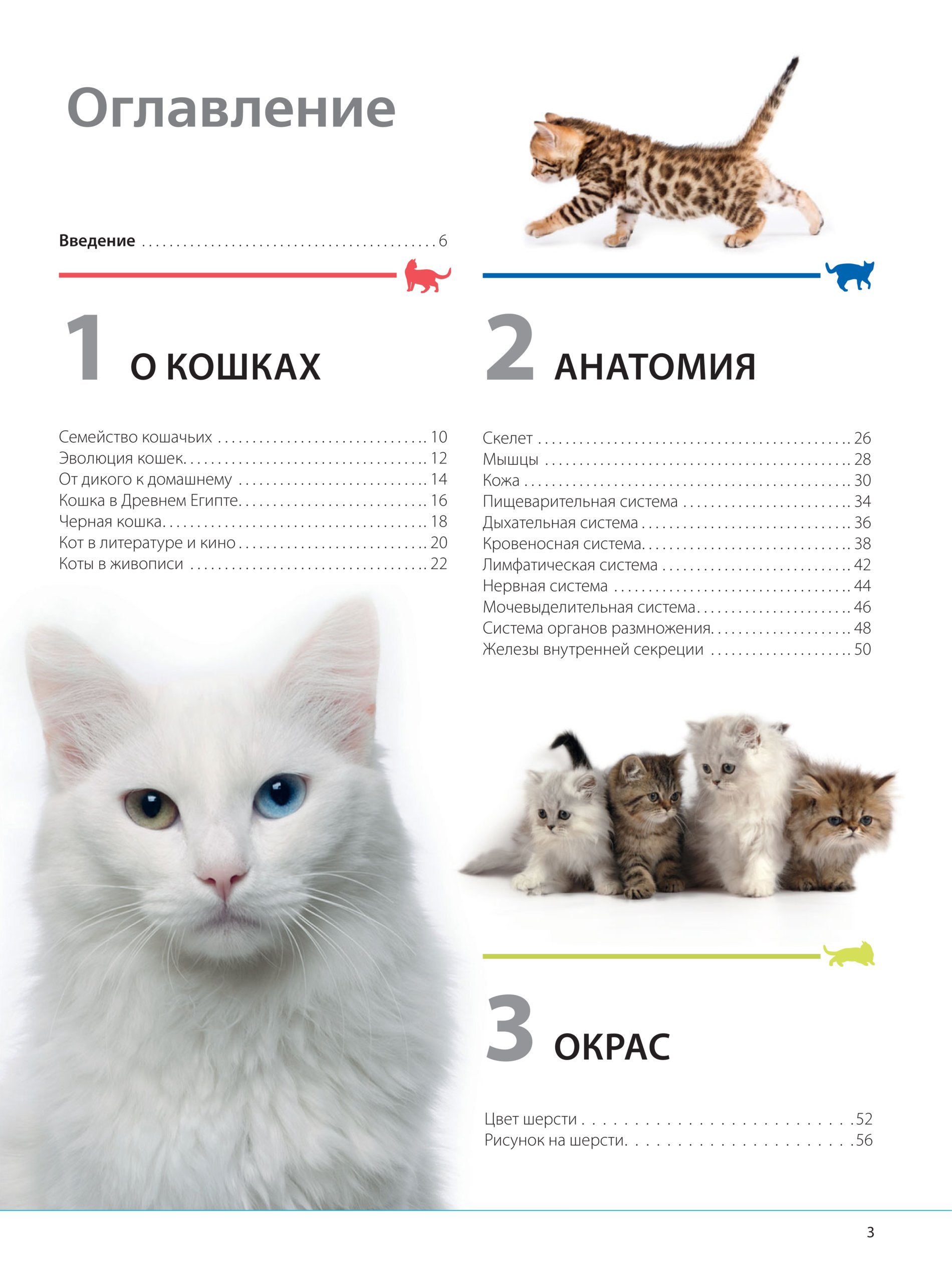 Энциклопедия о кошках Дудникова