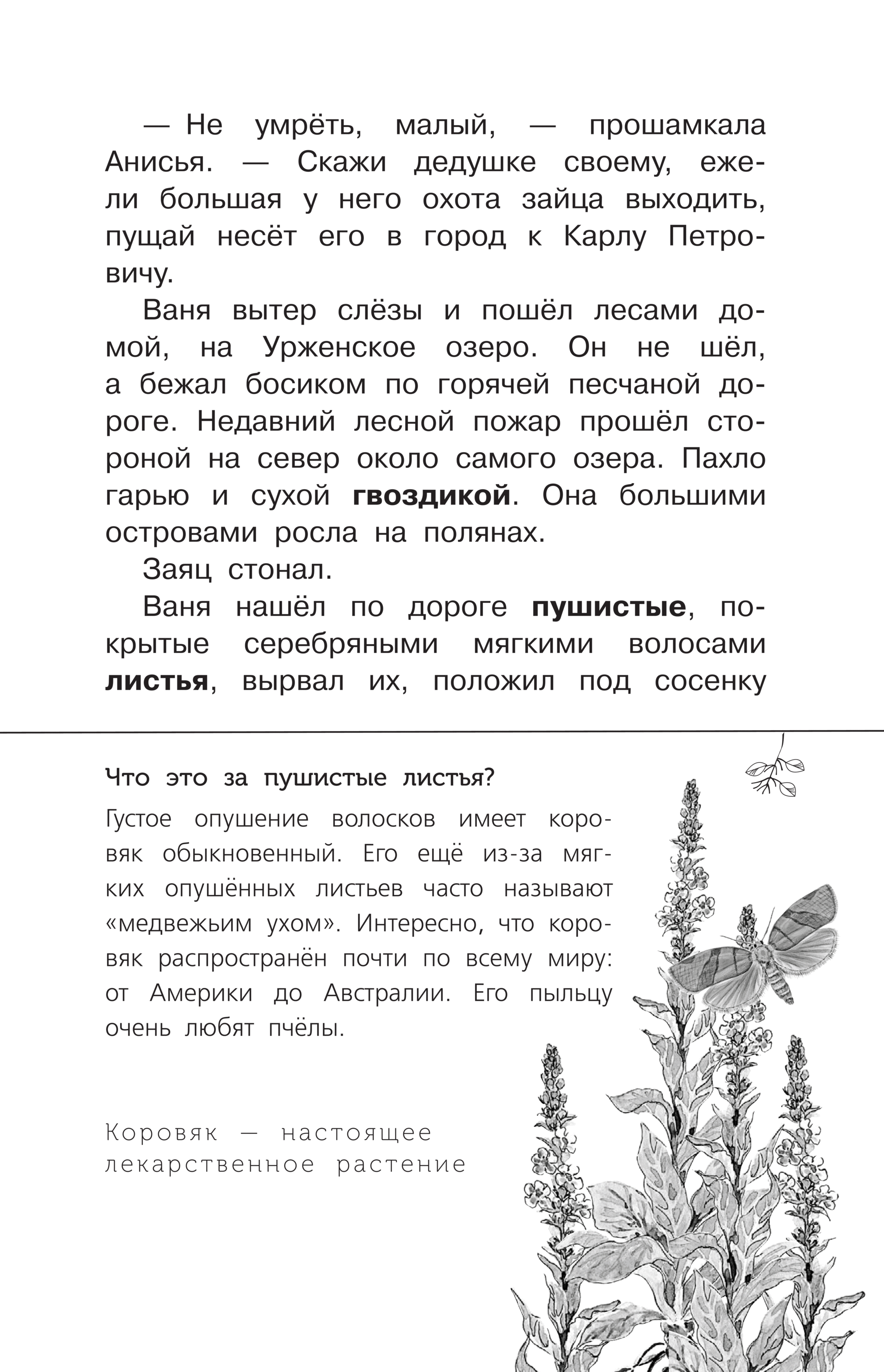 Заячьи Лапы Текст Распечатать