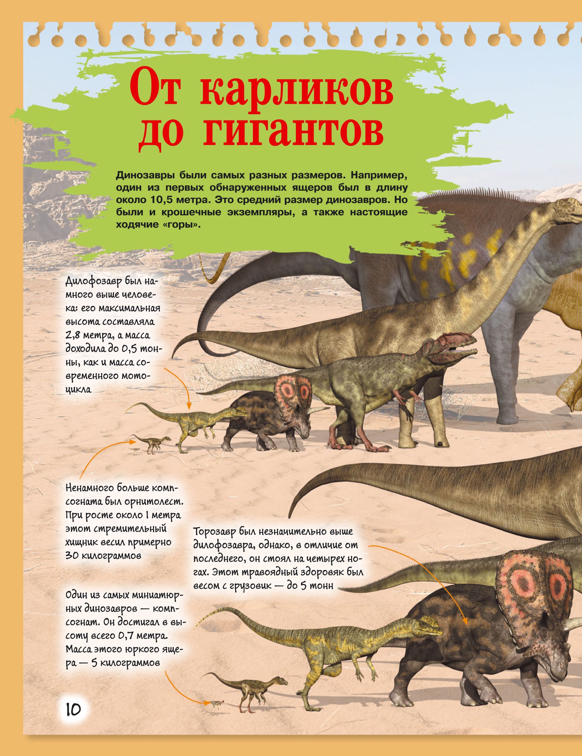 Опиши динозавра. Интересное про динозавров для детей. История динозавров для детей. Стихи про динозавров для детей. Динозавры рассказы для детей.
