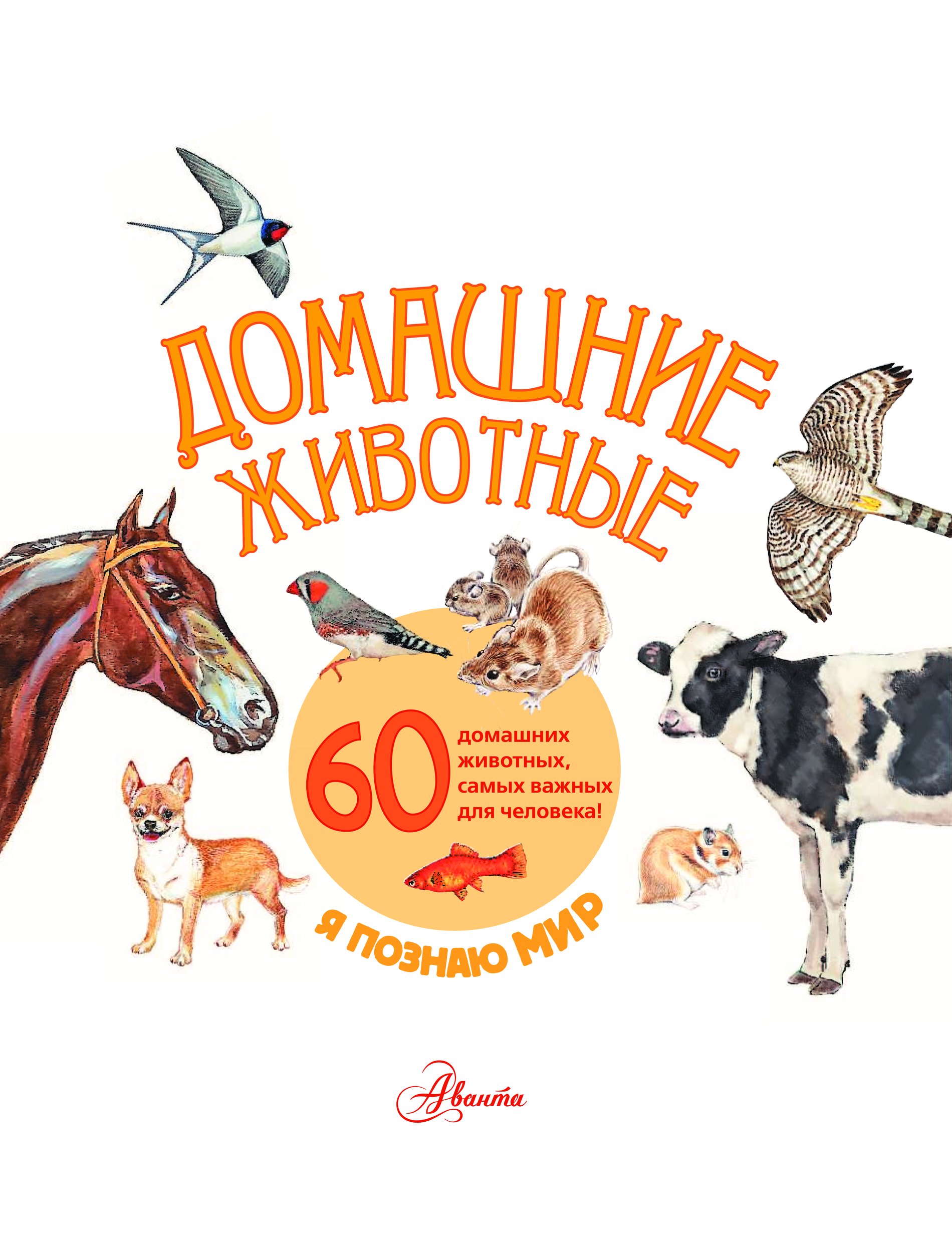 Книги о домашних животных читать