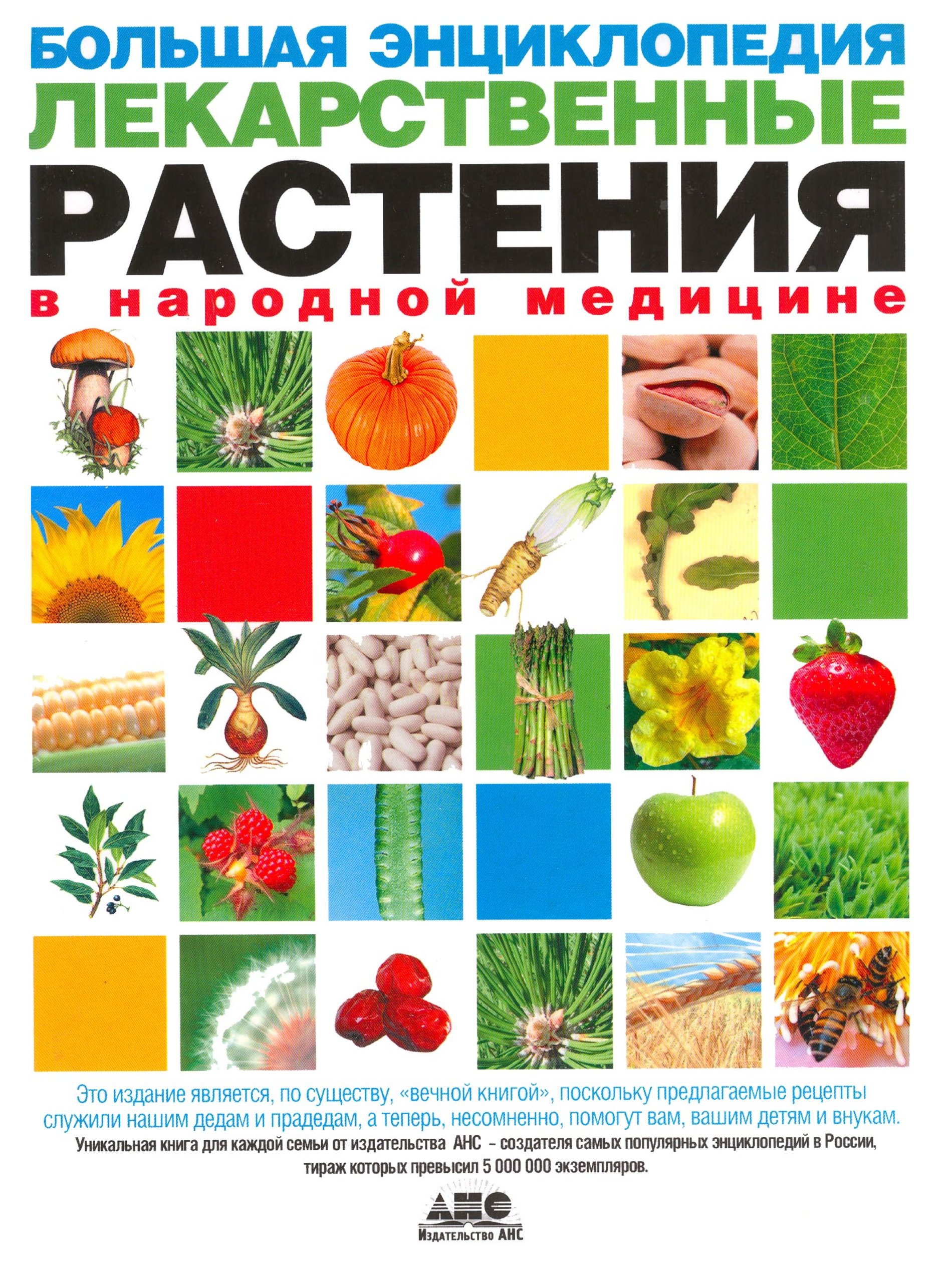 Энциклопедия Растений С Фотографиями И Названиями