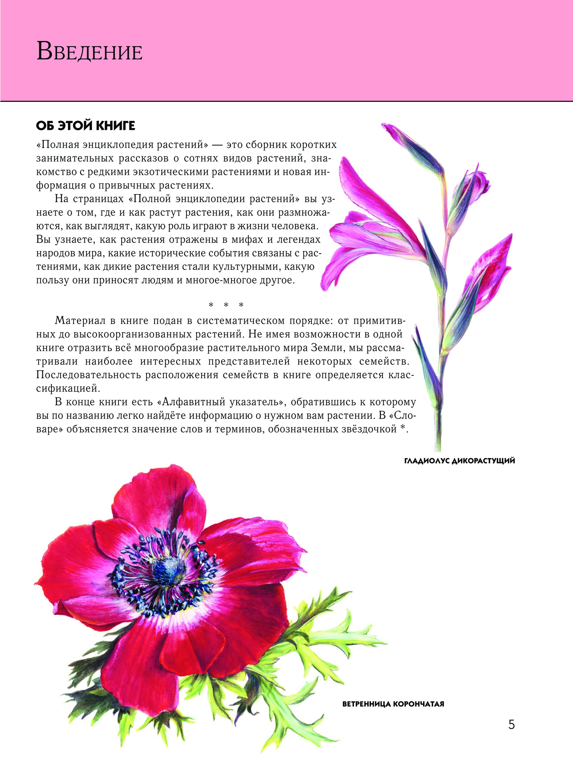 Книги о растениях. Растения россии определитель. Энциклопедия растений для детей. Полная энциклопедия (мел. Литература про растения.