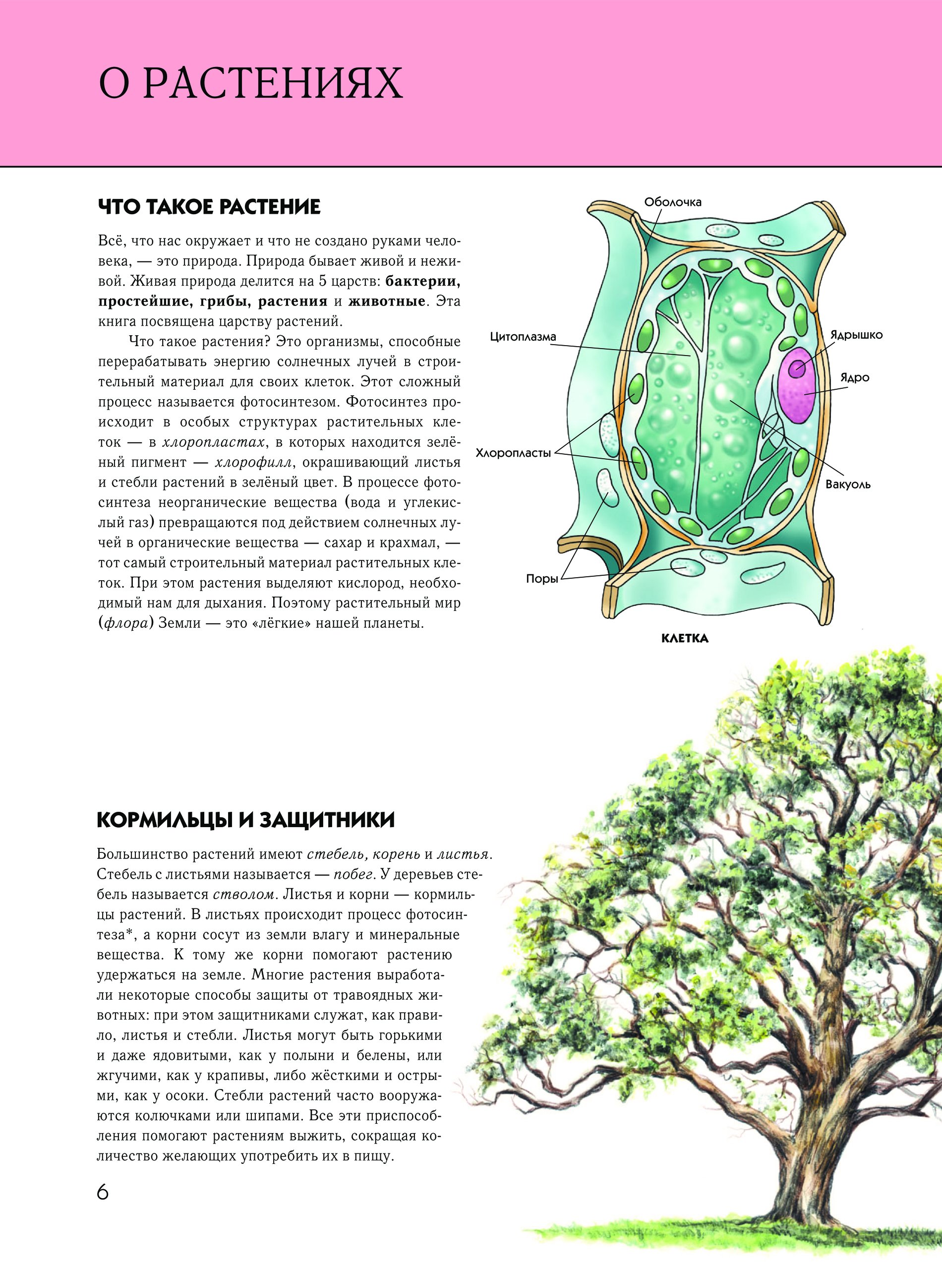 Литература про растения. Растения. Пескова, ирина михайловна. Полуяхтов лекарственные растения. К.