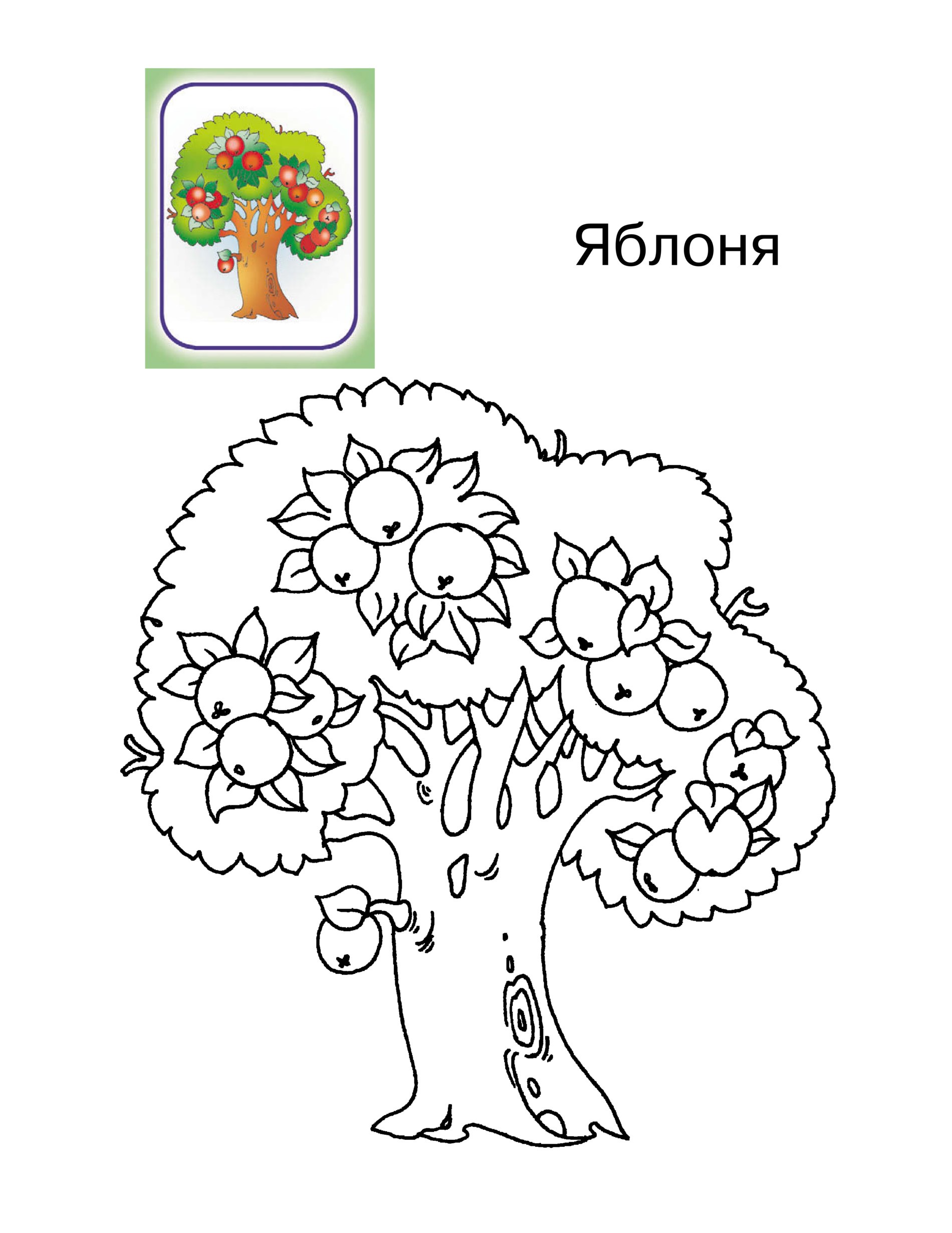 Дерево раскраска для малышей. Дерево раскраска для детей. Яблоня раскраска. Дерево раскраска для детей. Дерево раскраска для малышей.