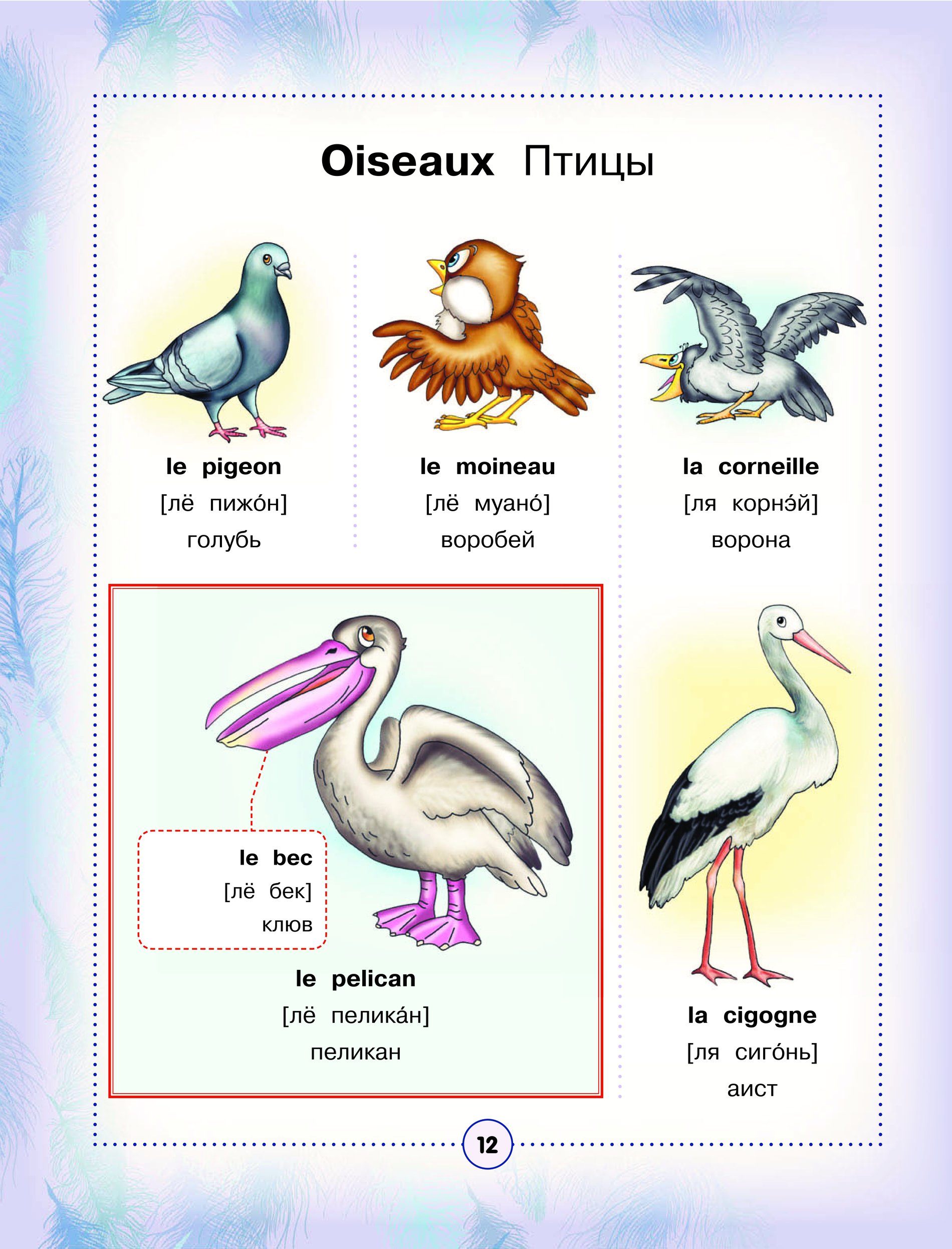 Перевести птиц на английский. Птицы на англ языке. Птицы на английском для детей. Птицы на английском языке с переводом. Птица по английский для детей.