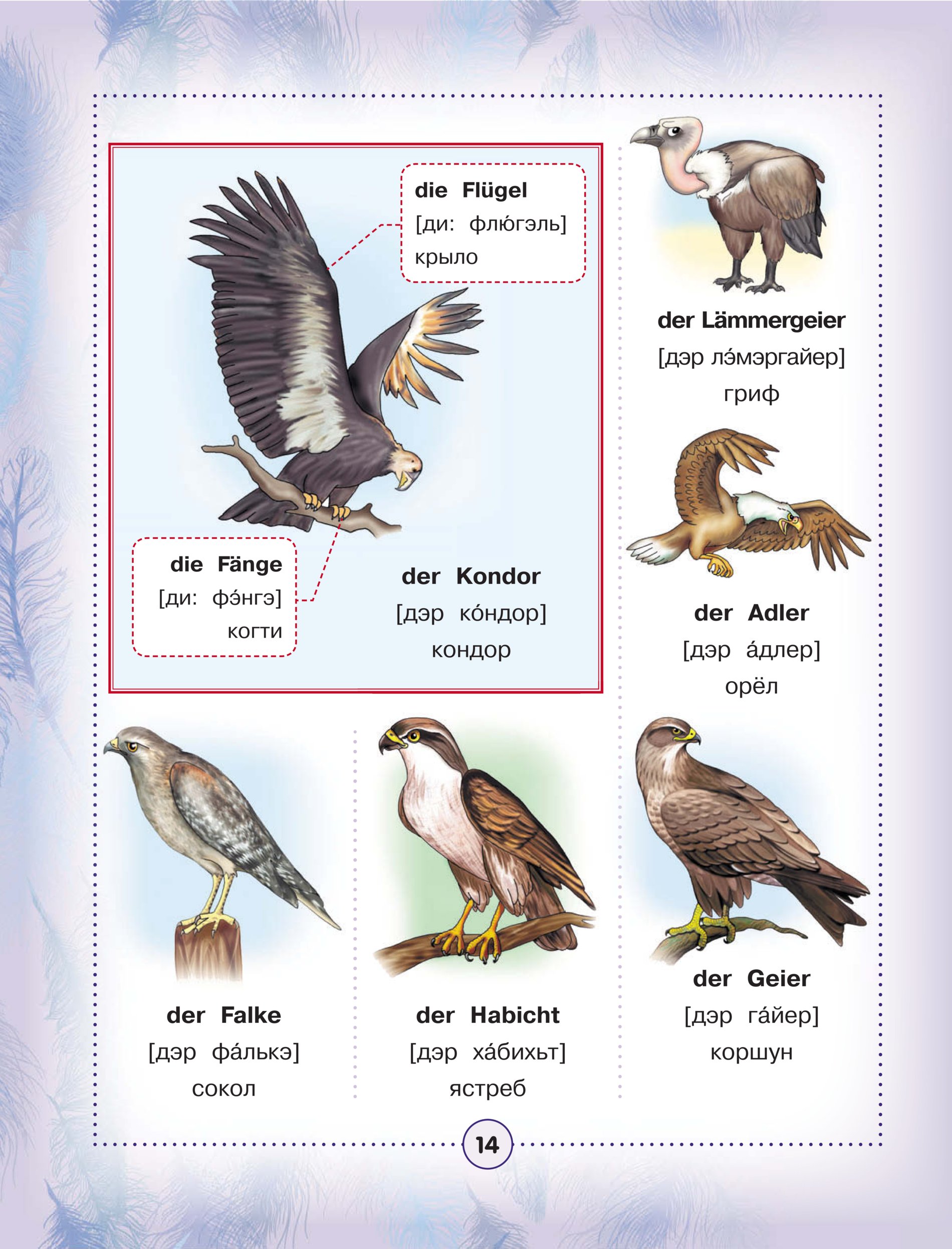 Перевести птиц на английский. Птицы на английском. Названия птиц на английском. Птицы на английском языке для детей. Названия птиц на англи.