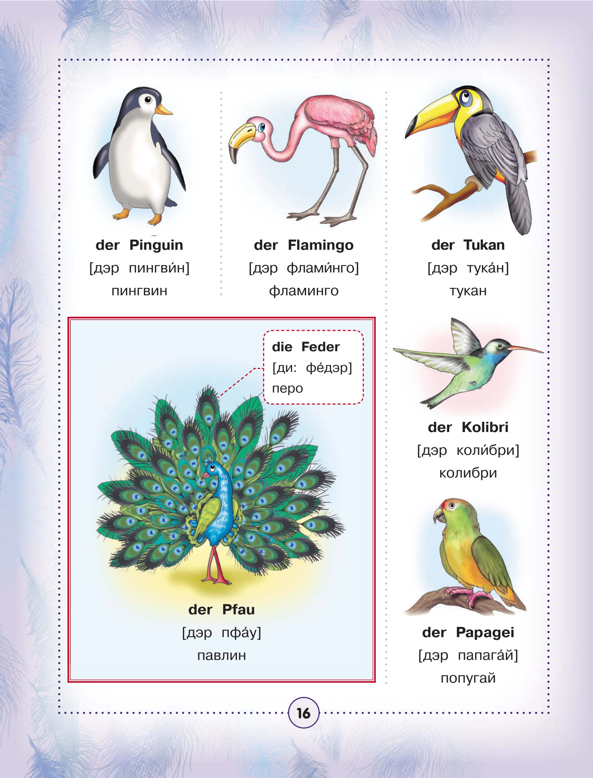 Bird как произносится. Птица на английском произношение на русском. Птицы на английском языке. Словарь птиц. Птицы на английском языке с русской транскрипцией.