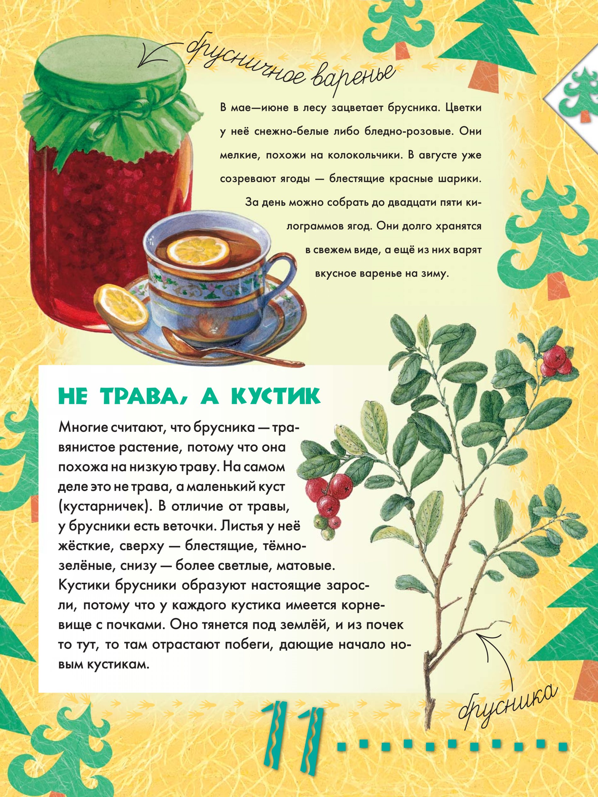 сладков «лесные тайнички» рассказ. и. лесами книга читать. павел мельников-печерский в лесах. лесная газета виталия бианки.