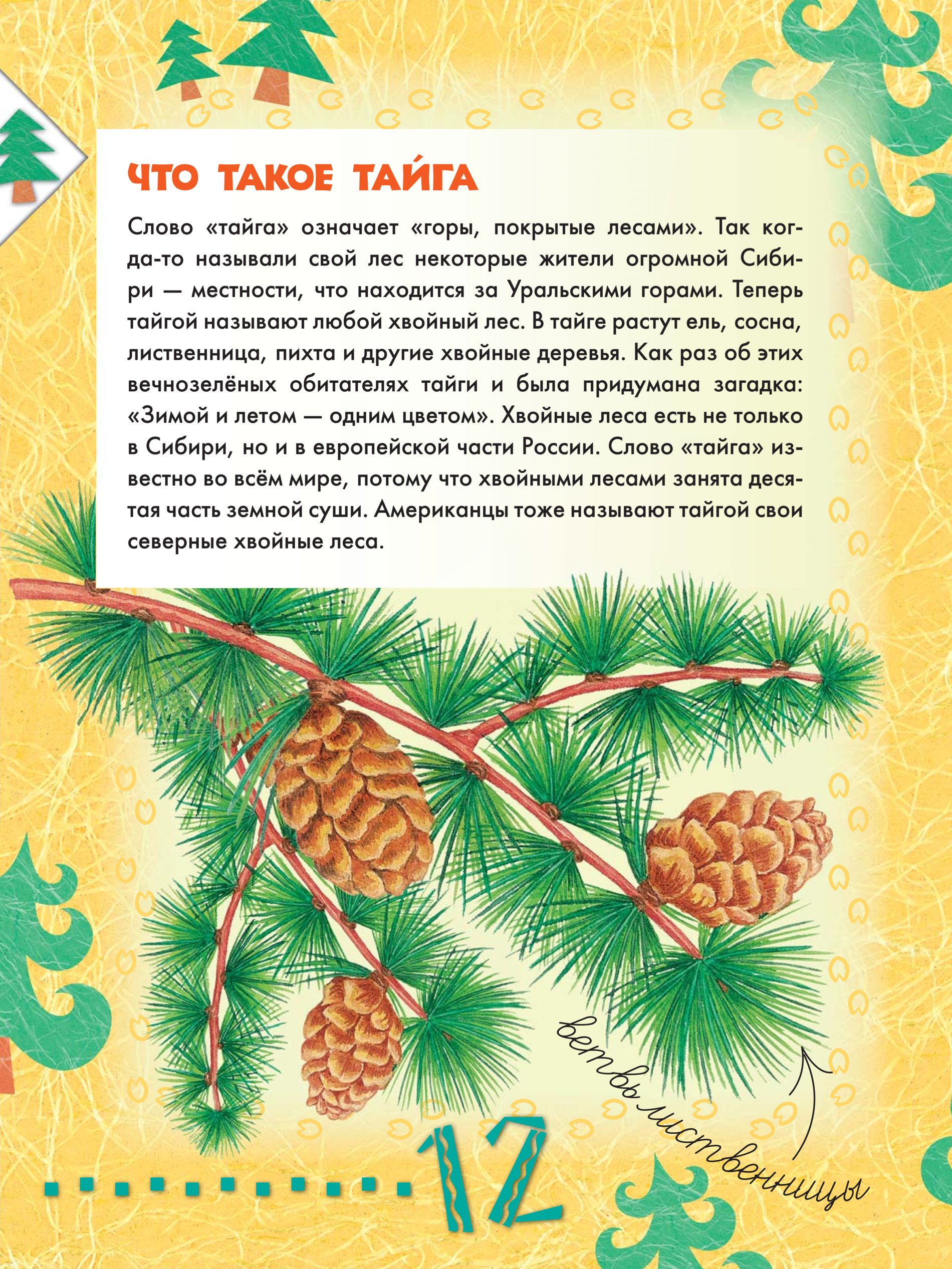 лесная газета. виталий бианки рассказ из лесной газеты. экокнига спасти лес. виталий бианки "лесная газета". лесная газета виталий бианки книга.