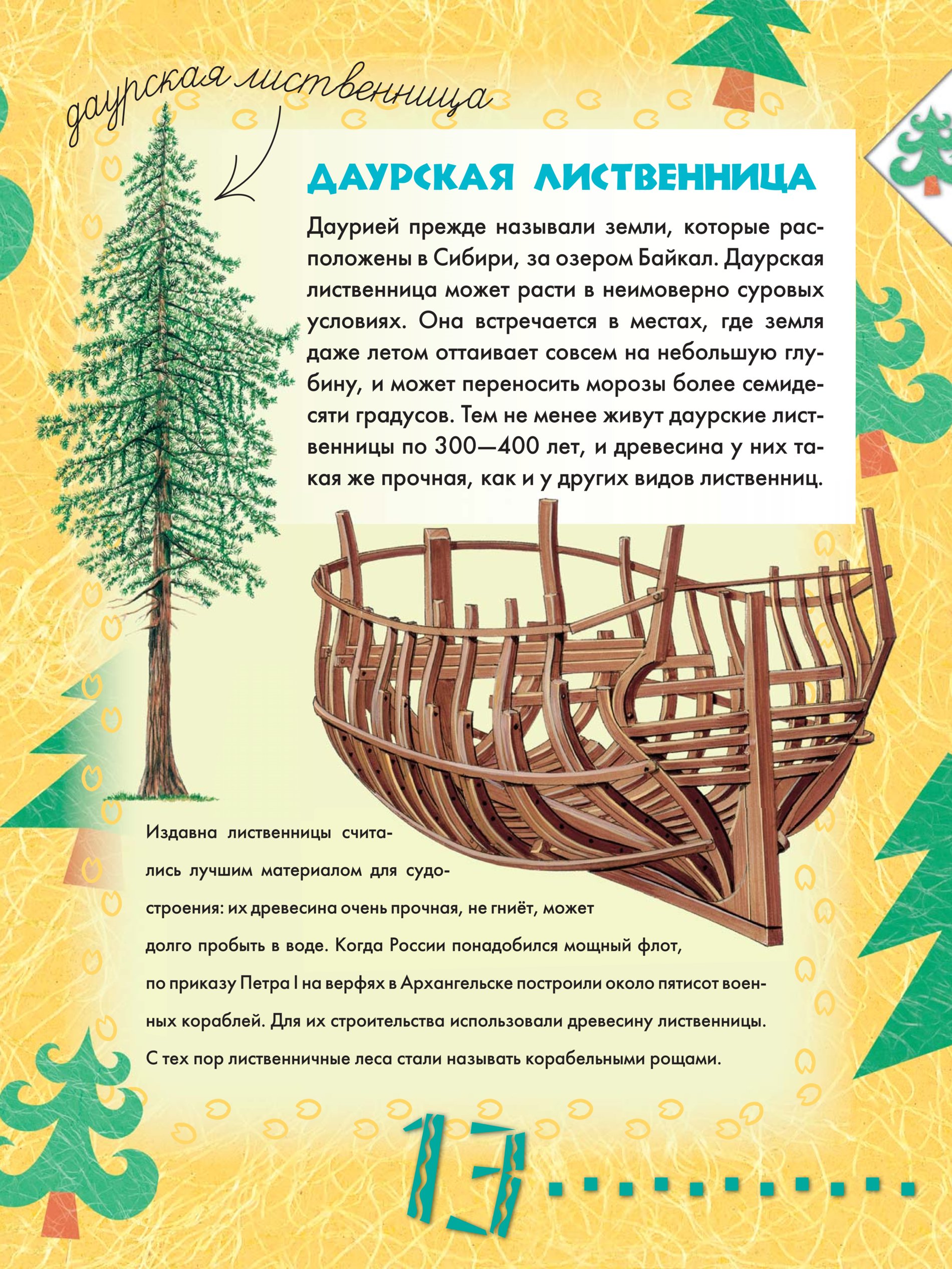 лесами книга читать. сказки о животных книга. сладков «лесные тайнички» рассказ. бианки лесная газета иллюстрации к книге. лесная газета виталий бианки книга рассказы.