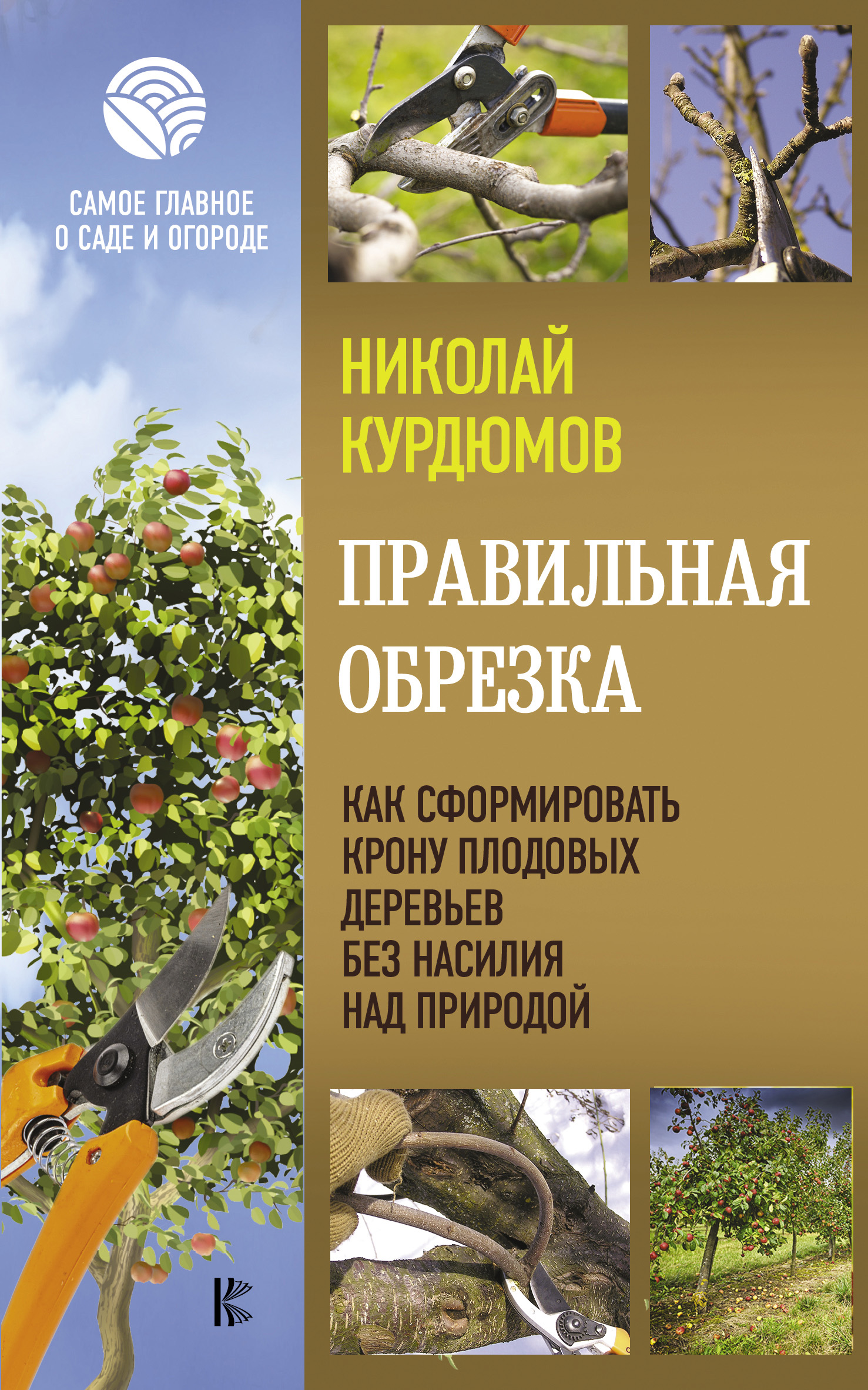 Правильная обрезка. Как сформировать крону плодовых деревьев без ...
