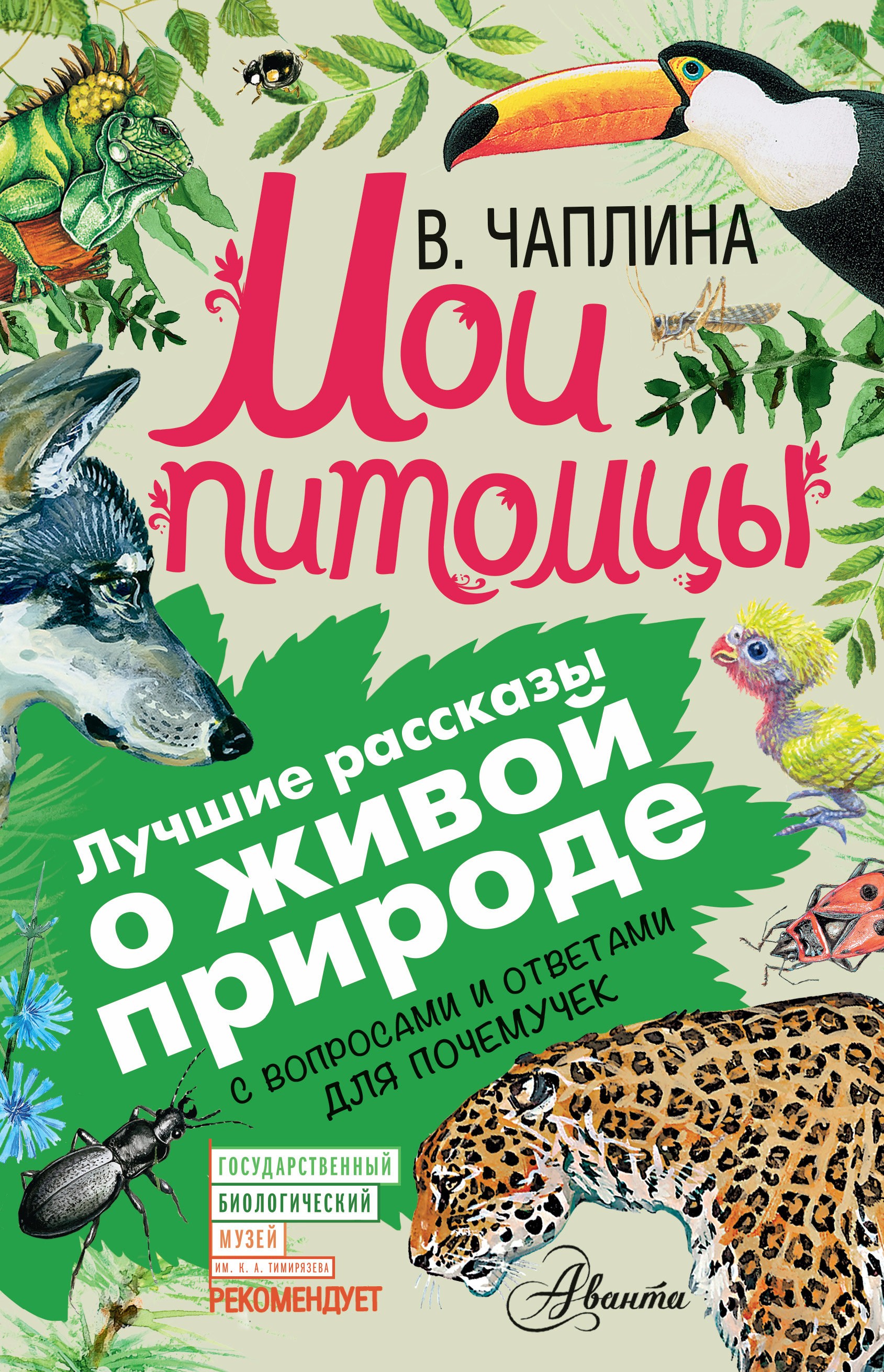 Купить Книгу Чаплиной Читай Город Иваново