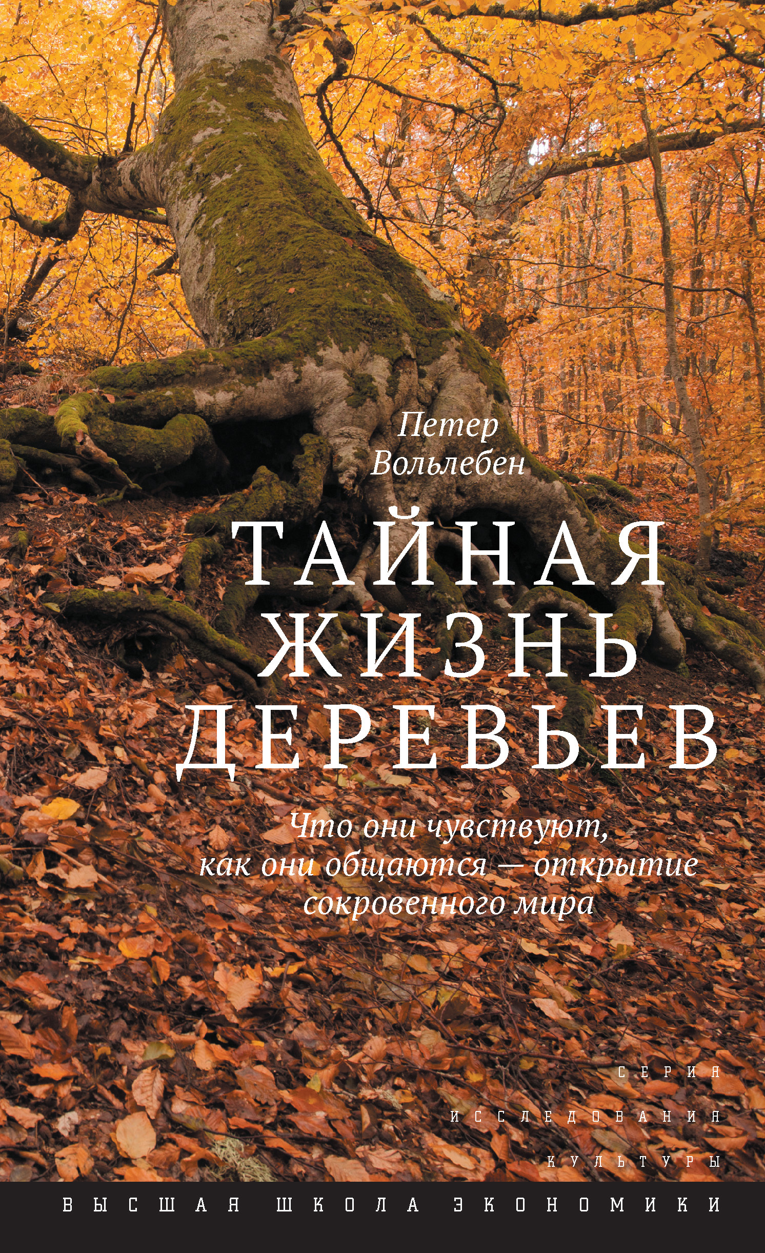 Читать онлайн «Тайная жизнь деревьев. Что они чувствуют, как они общаются –  открытие сокровенного мира», Петер Вольлебен – ЛитРес