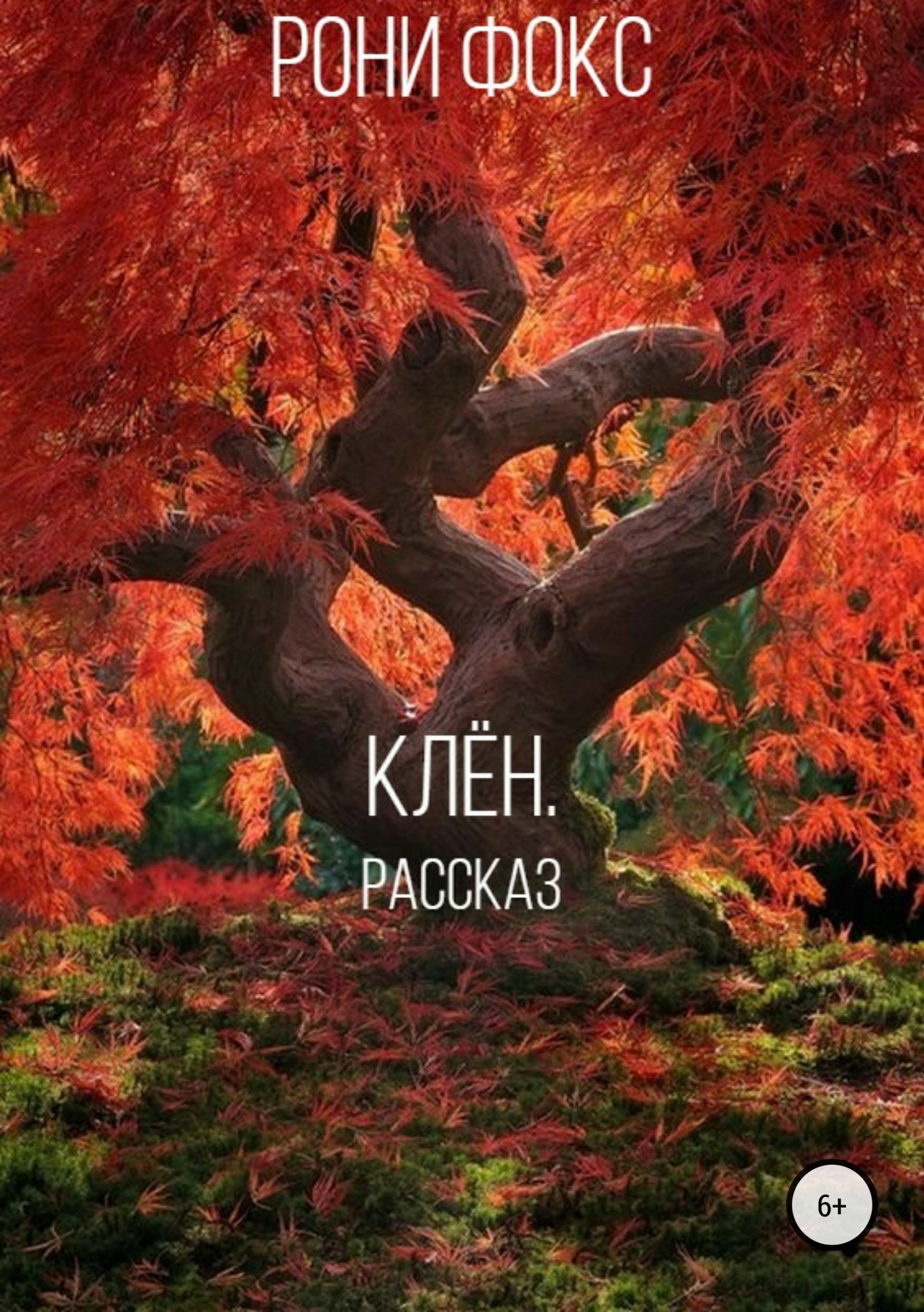 Красное Дерево Картинки