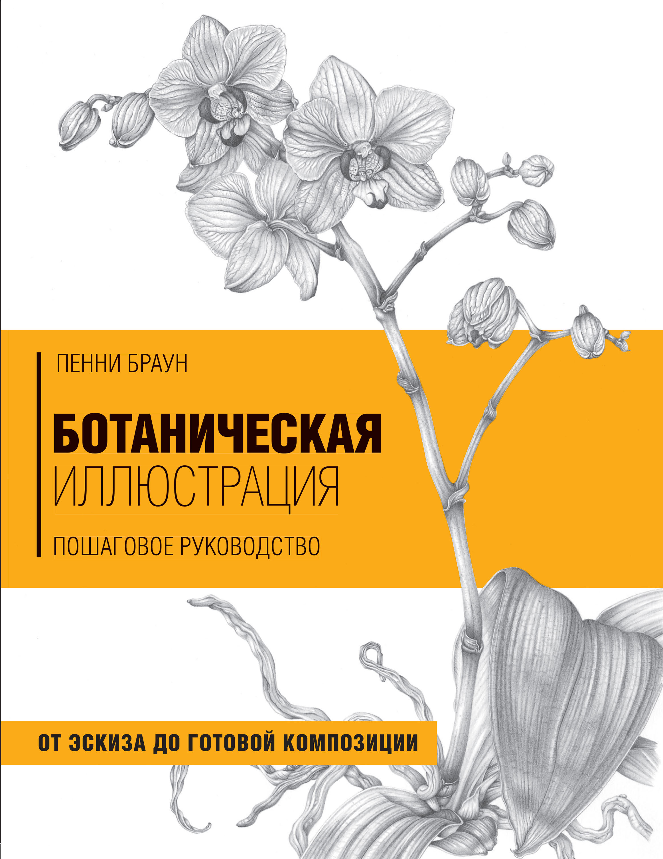 Красота форм в природе, Эрнст Геккель – скачать pdf на ЛитРес