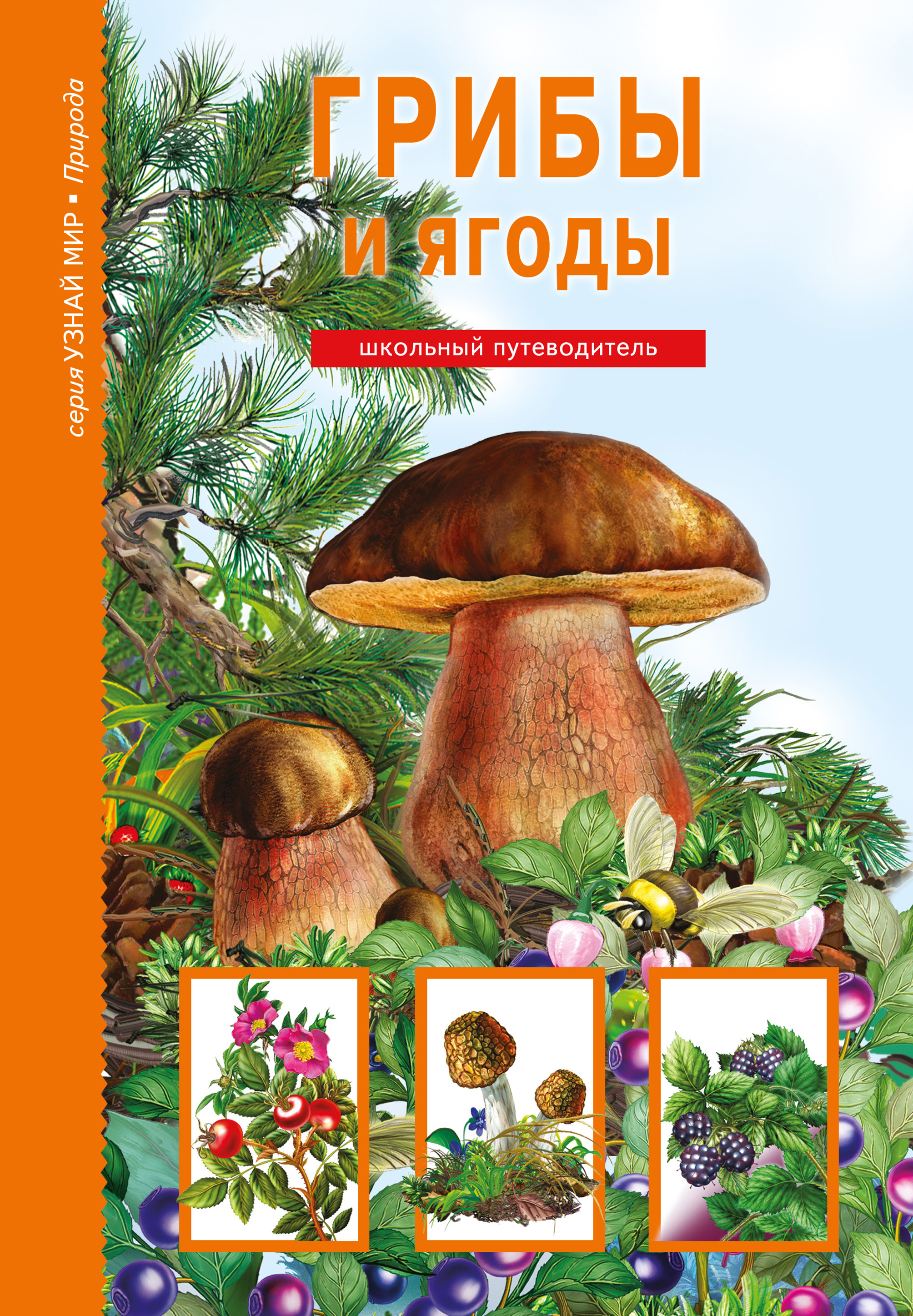 Где Купить Книги Про Грибы