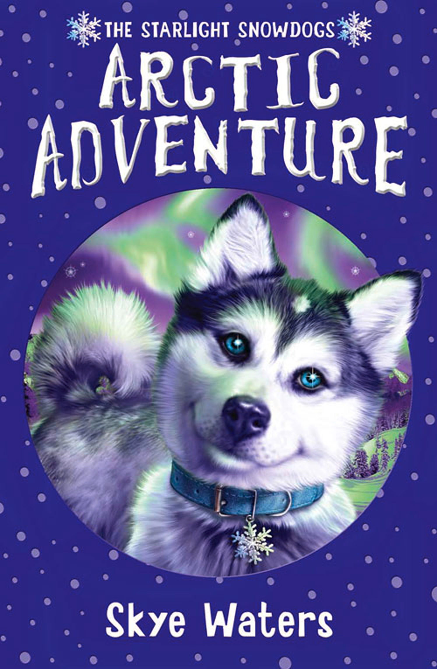 Книга приключение Арктика. College bound: Arctic Adventure. Arctic Adventure.