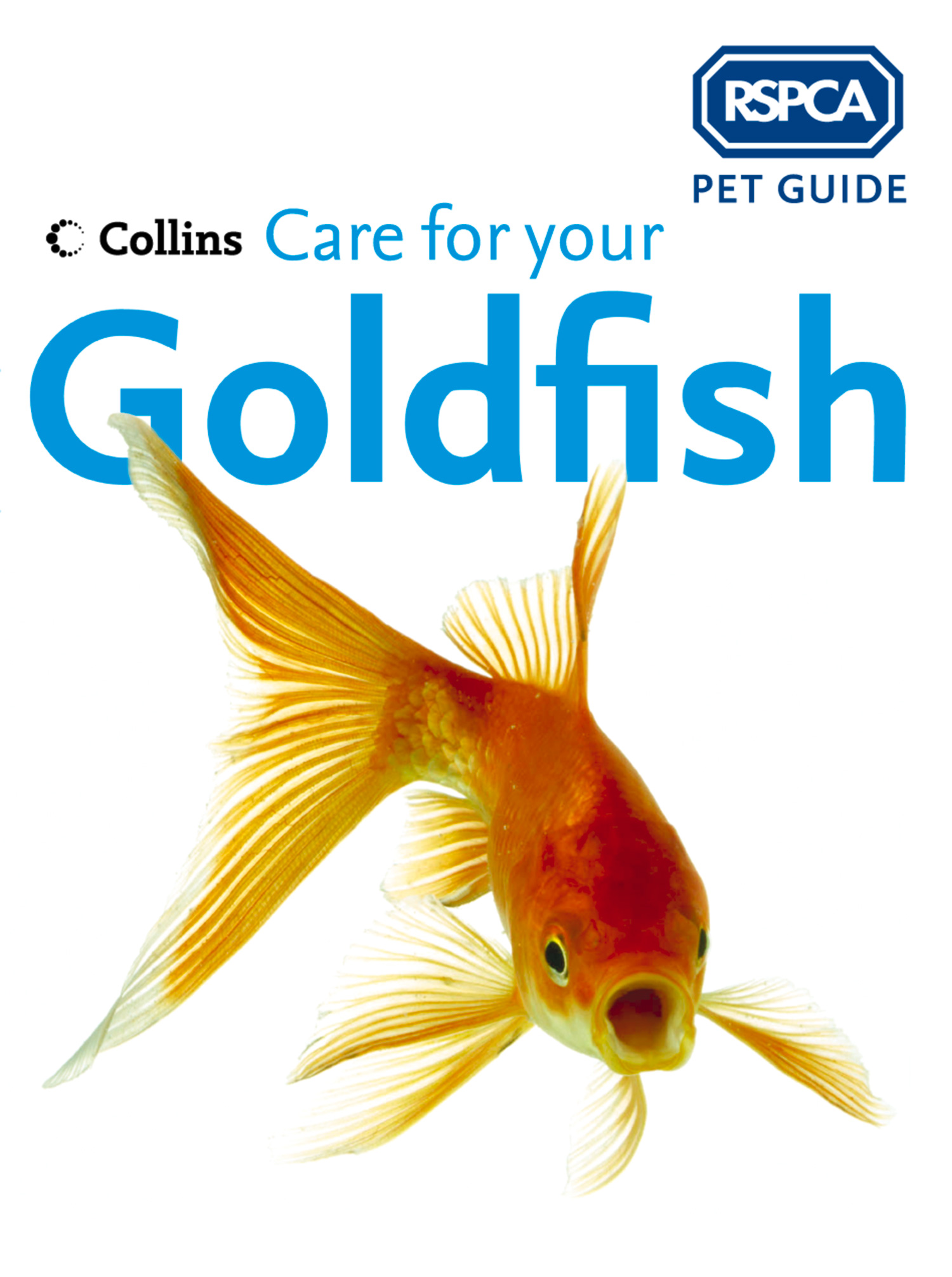 Pets guide. Your Goldfish.