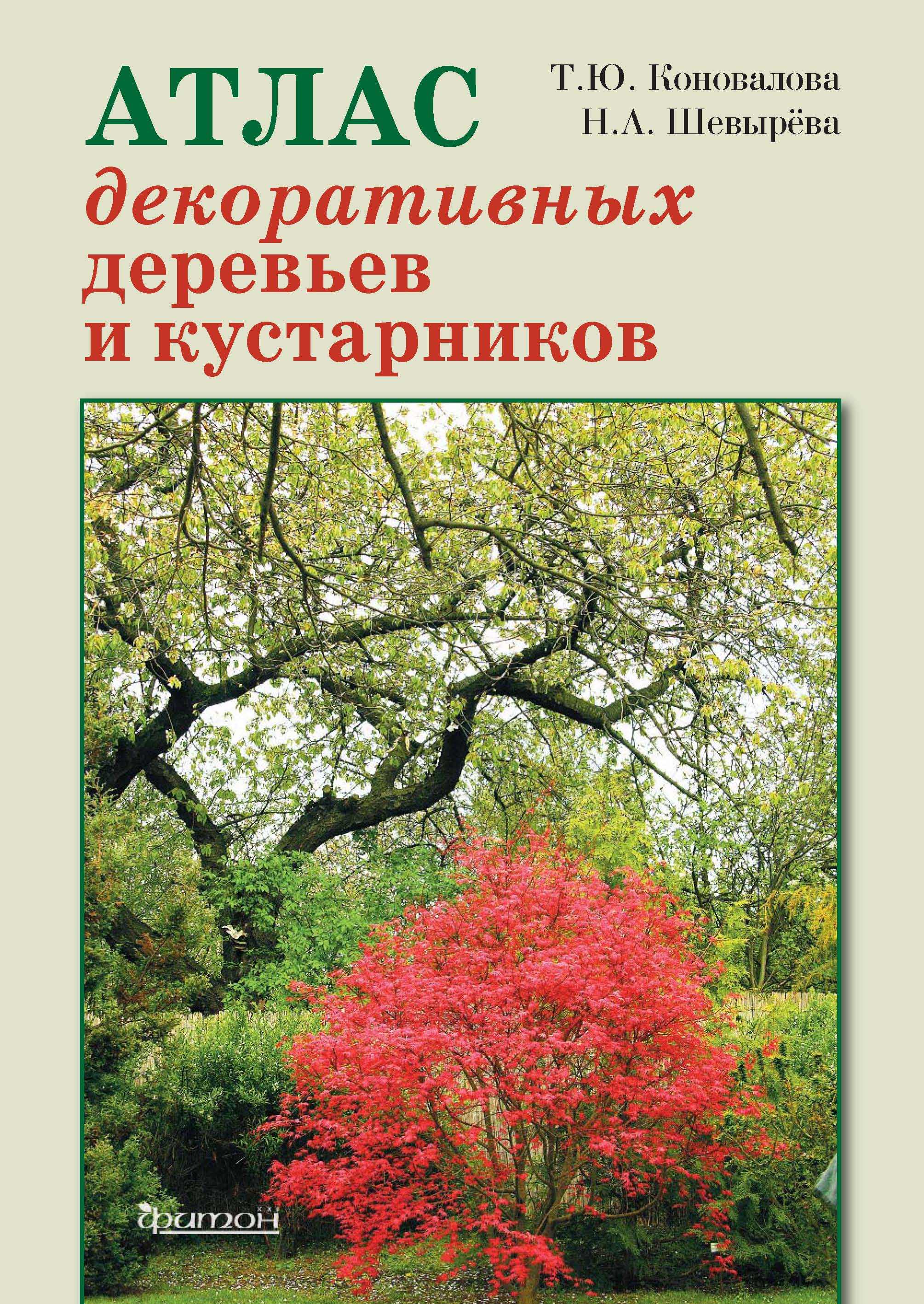 Атлас декоративных деревьев и кустарников, Татьяна Коновалова – скачать ...