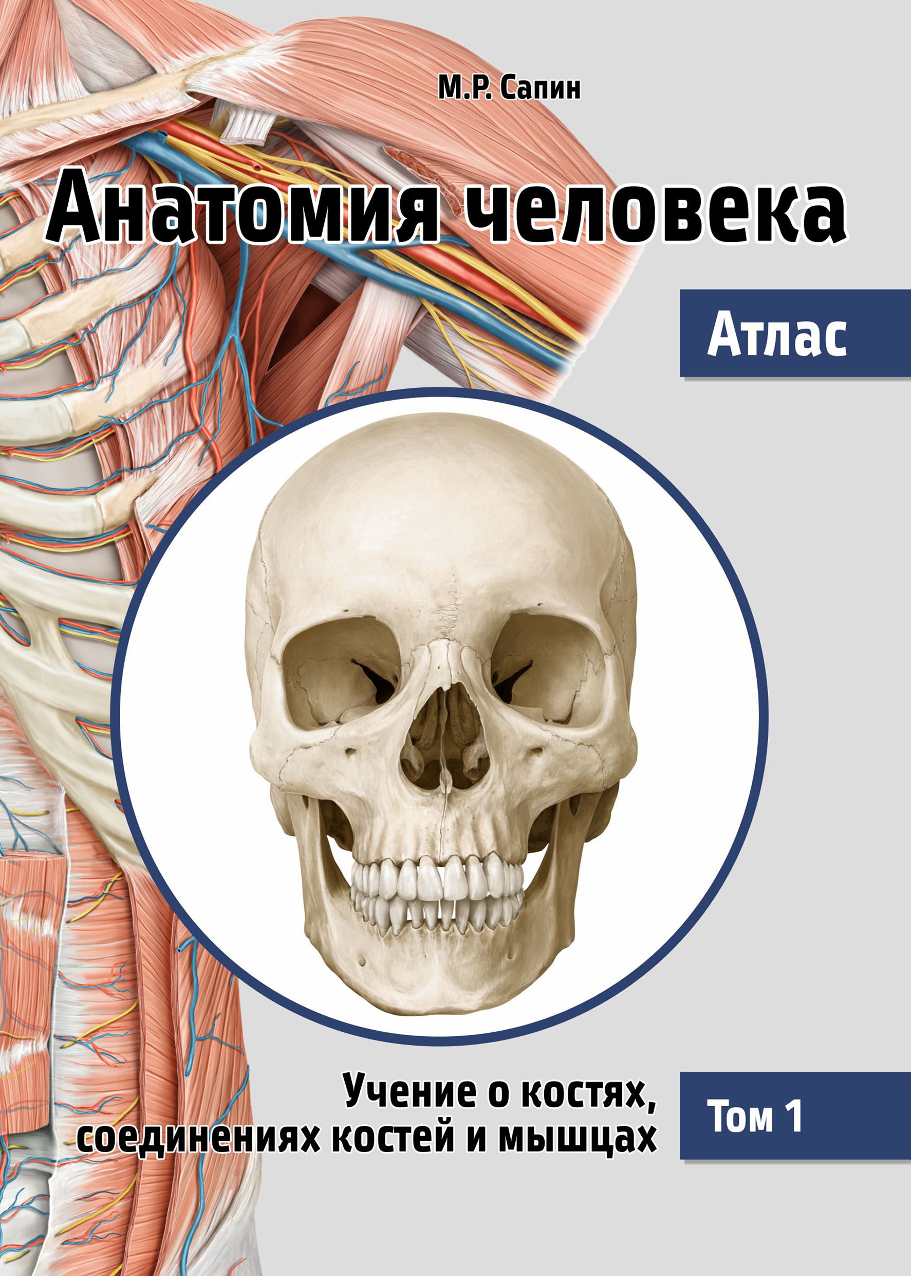 «Анатомия человека. Атлас. Том 1. Учение о костях, соединениях костей и ...