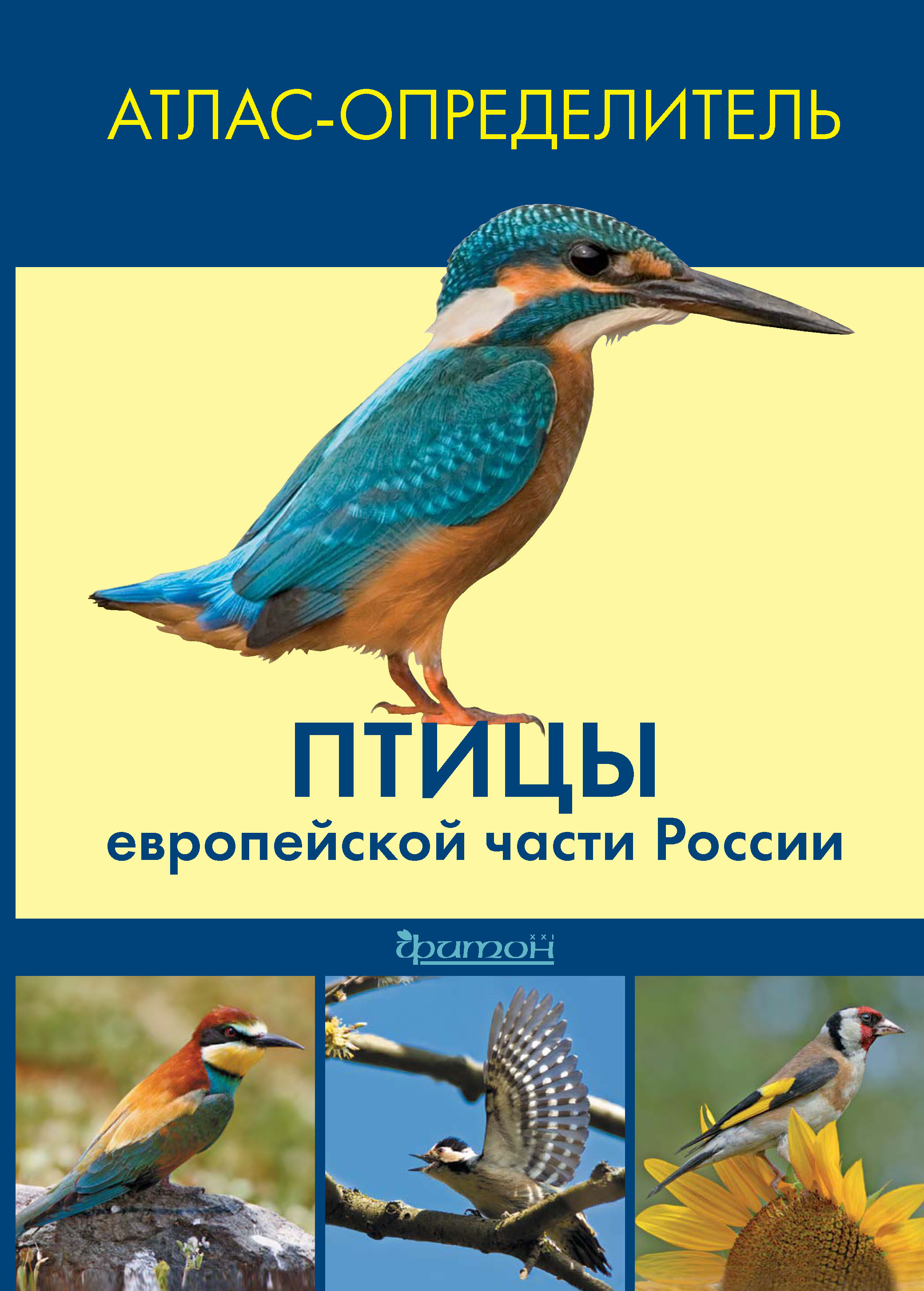 Птицы ленинградской области фото и названия определитель