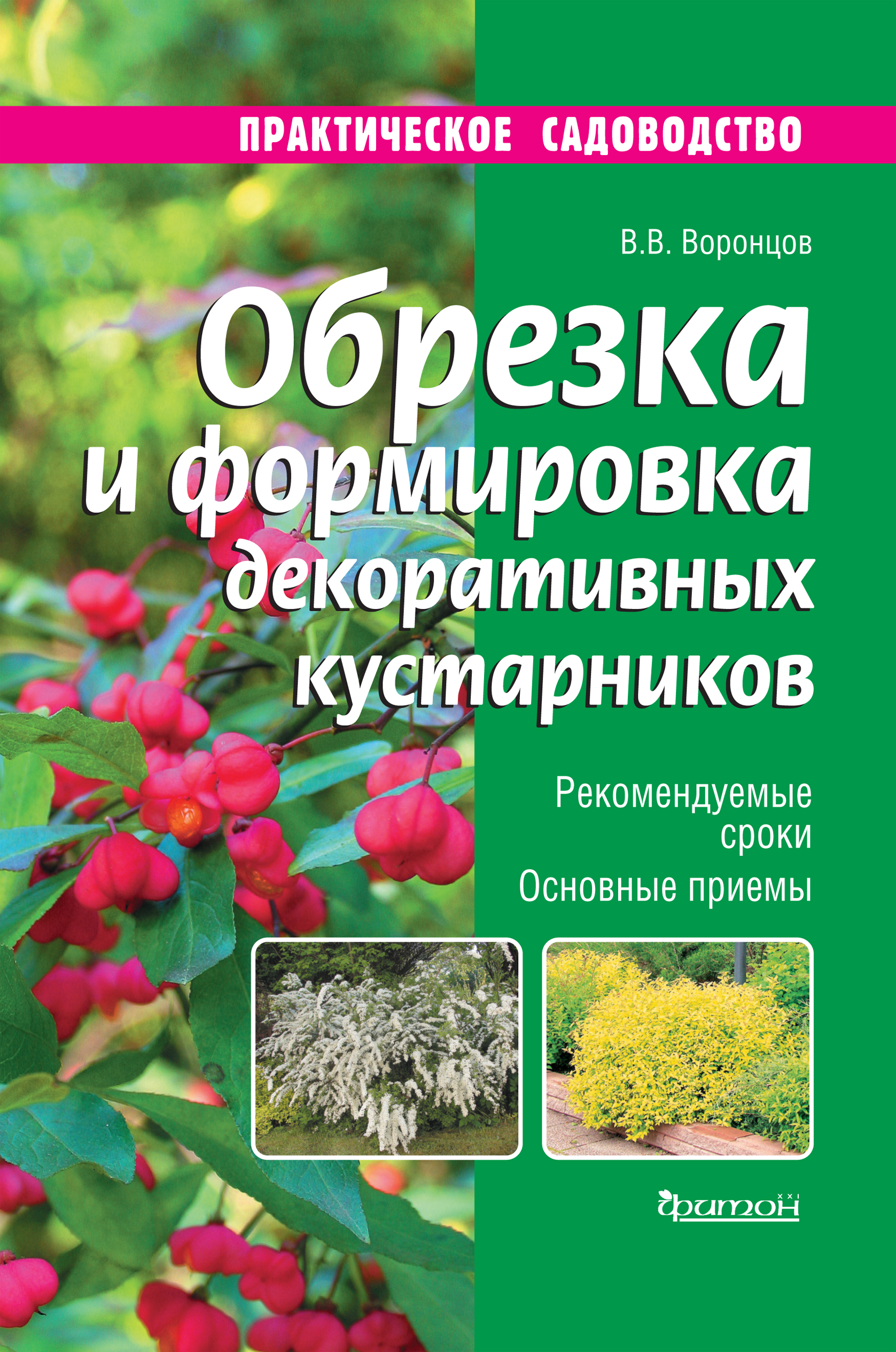 Купить Семена Кустарников В Интернет