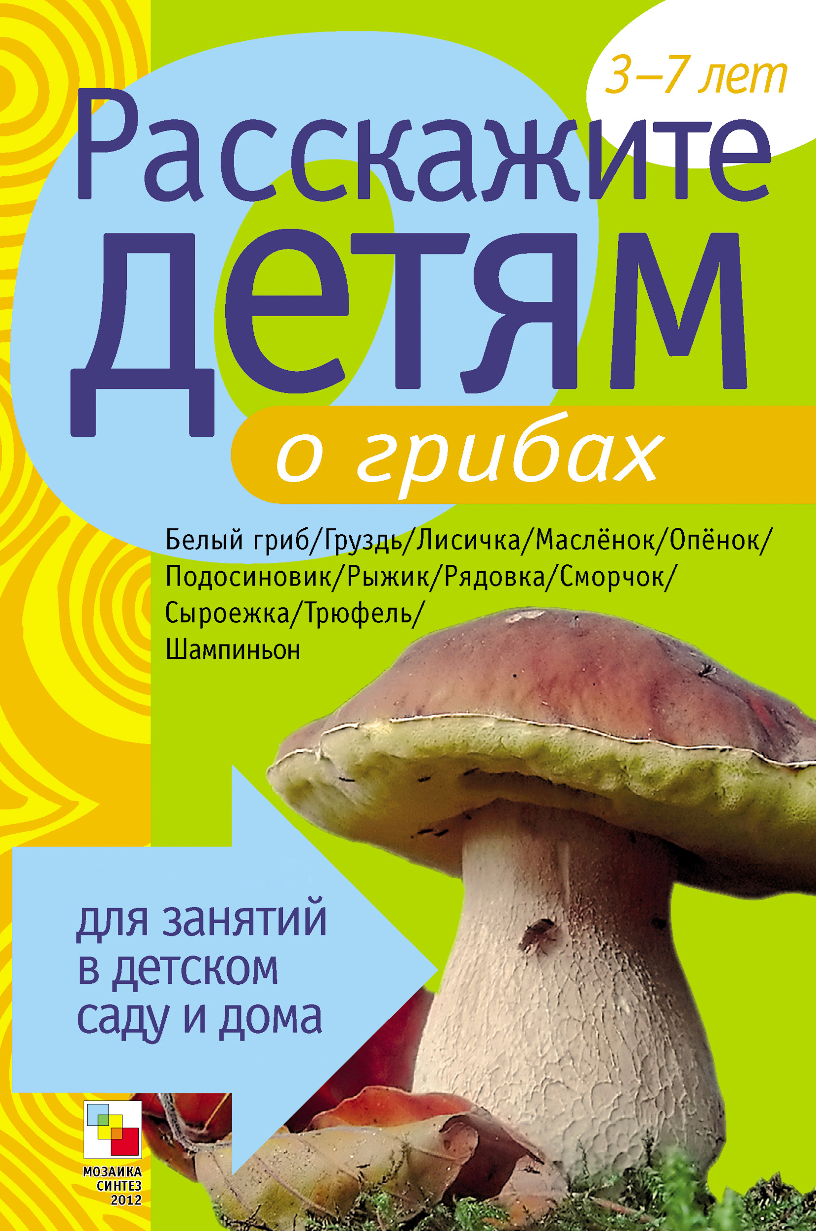 Загадки про грибы для дошкольников