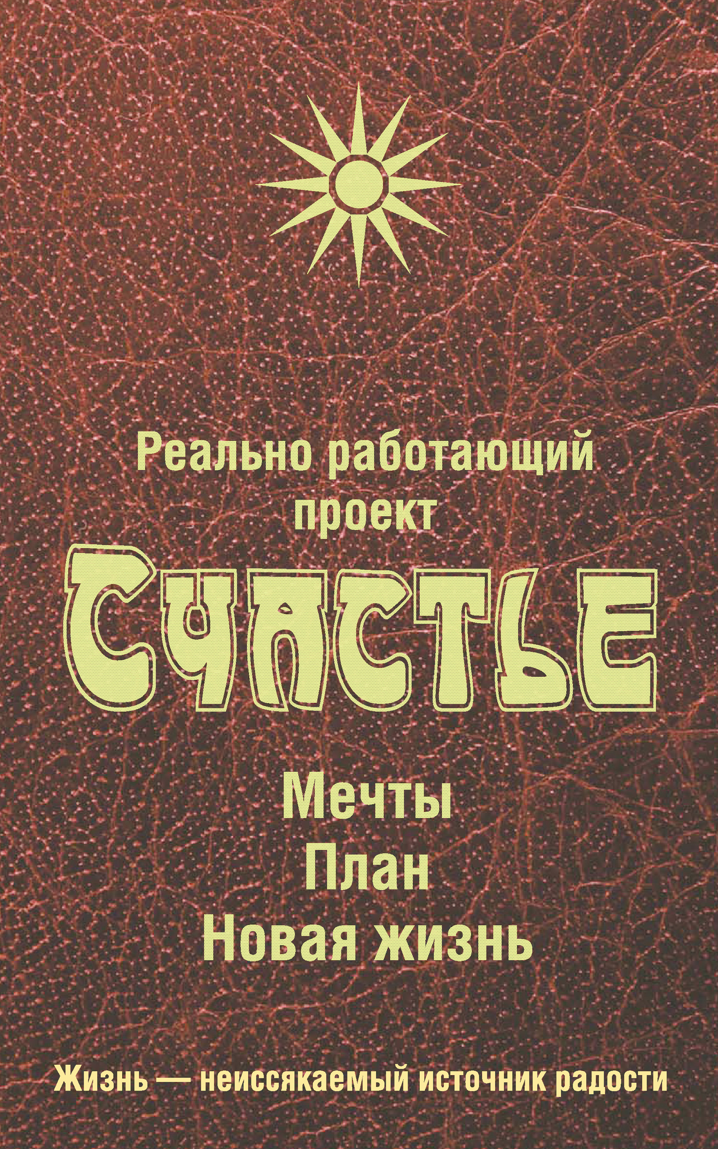 Проект счастье мечты план