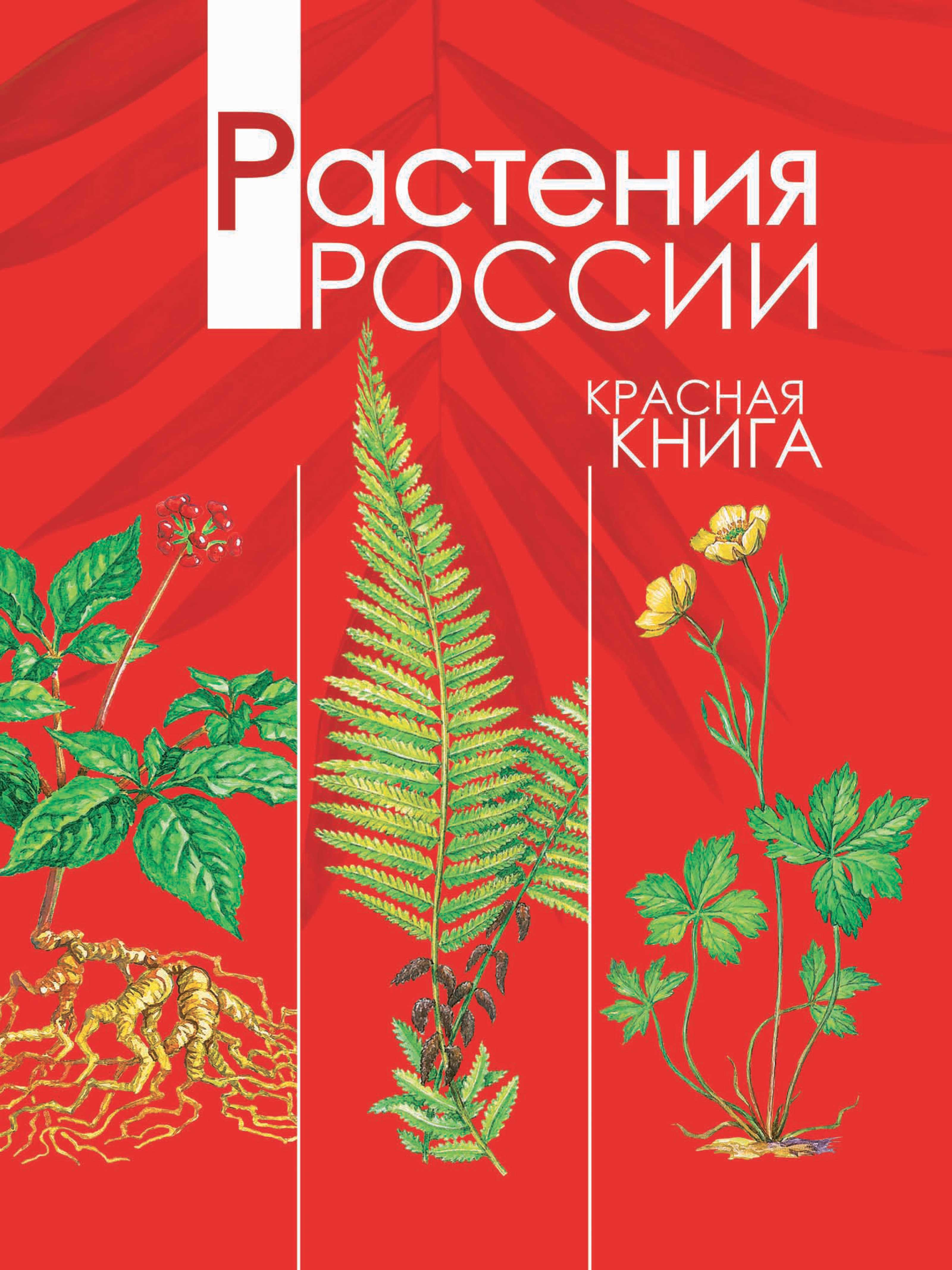 Растения красной книги для детей