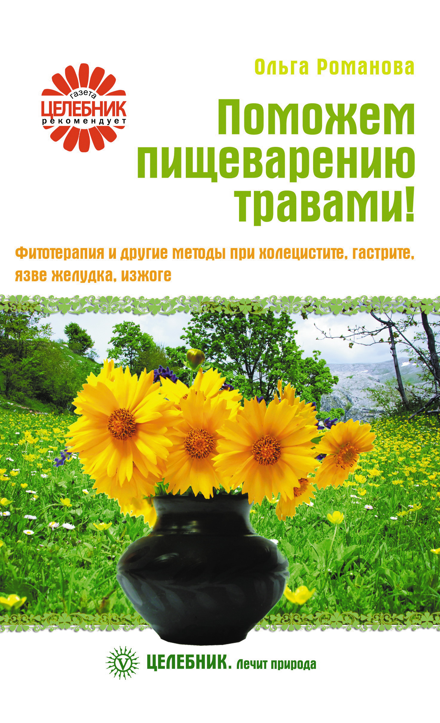 фитотерапия при гастрите. отвар ромашки. фитотерапия при гастрите. сбор пижма полынь тысячелистник. мелисса, мята, шалфей, тысячелистник.