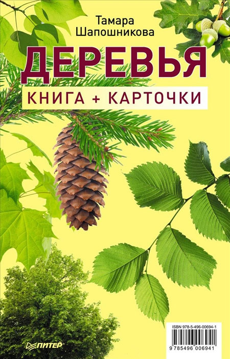 Деревья. Книга + карточки, Тамара Шапошникова – скачать pdf на ЛитРес