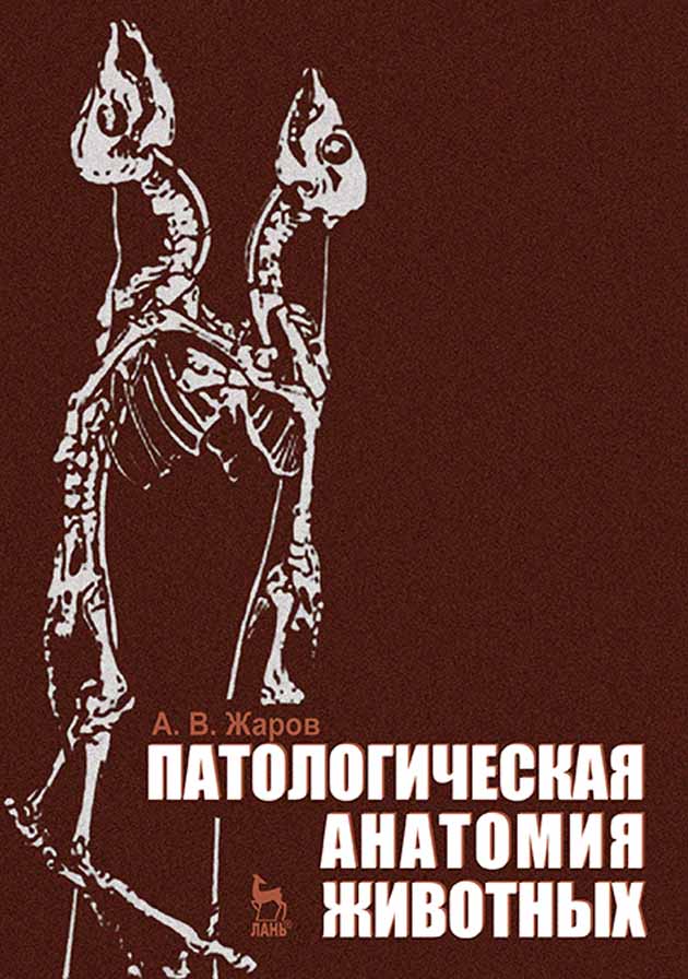 «Патологическая анатомия животных», А. В. Жаров – скачать pdf на Литрес