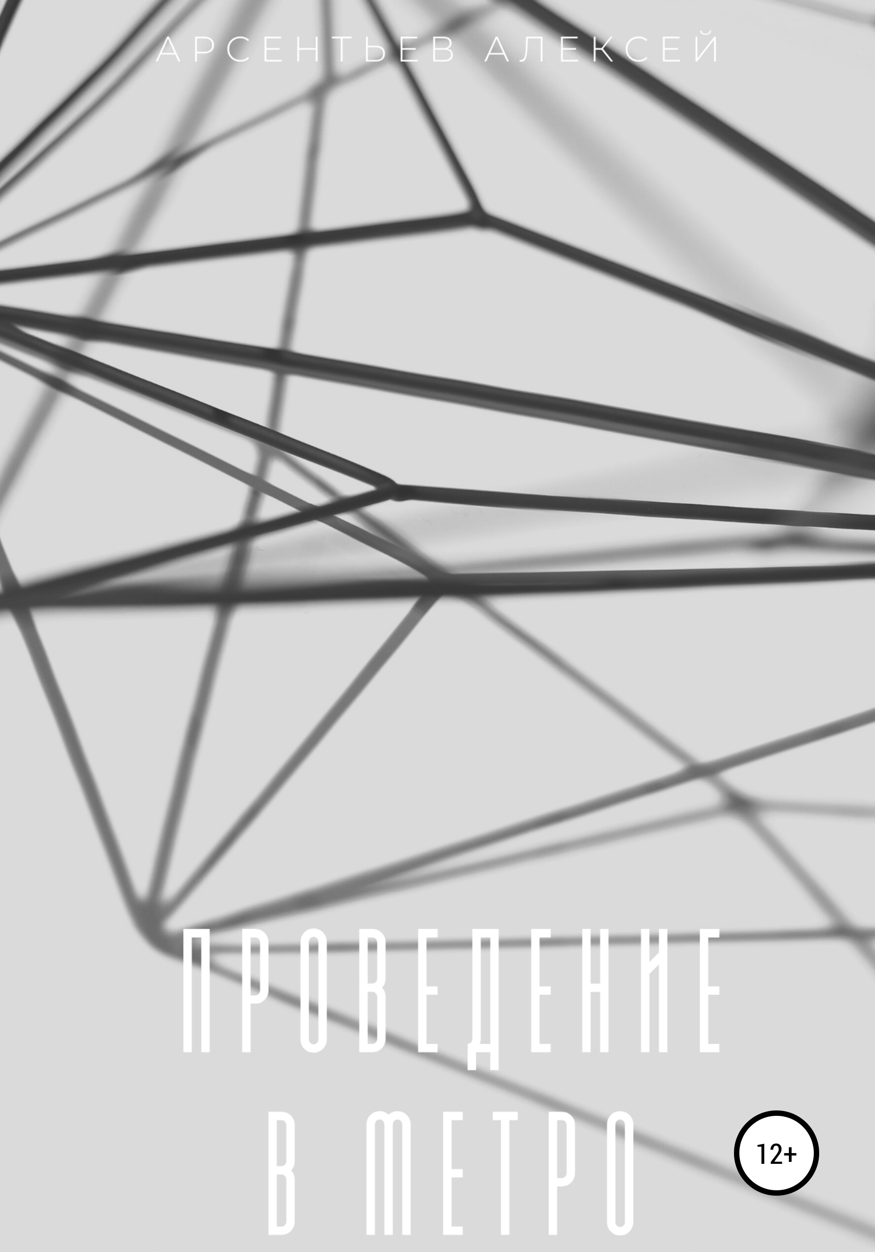 Читать книгу: «Проведение в метро - Литрес