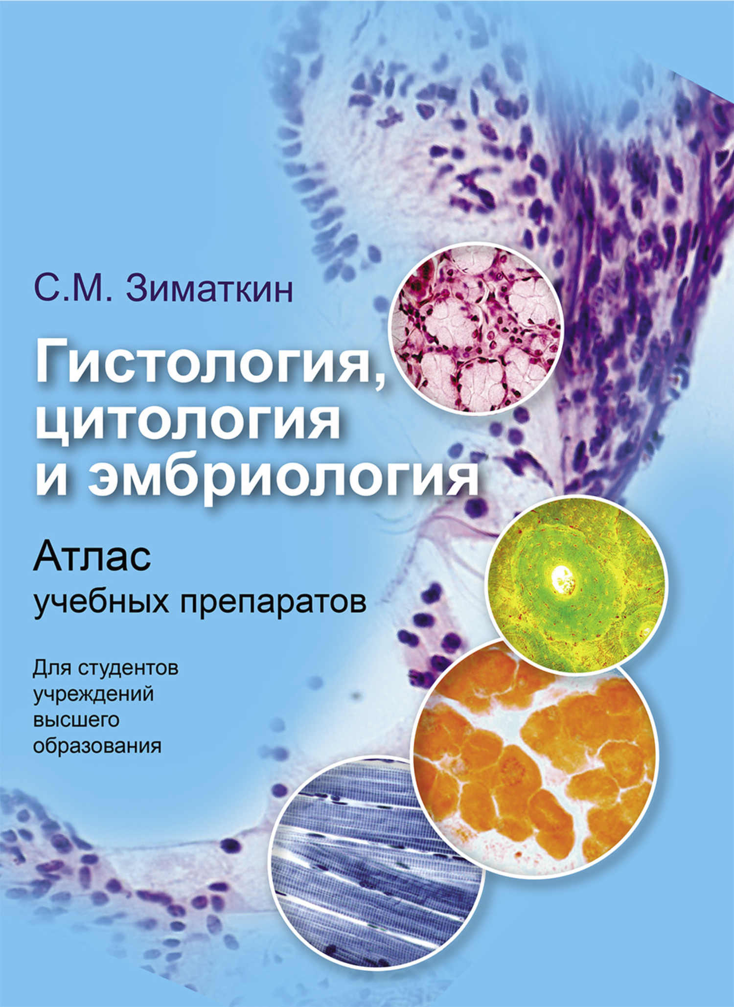 Гистология рниму