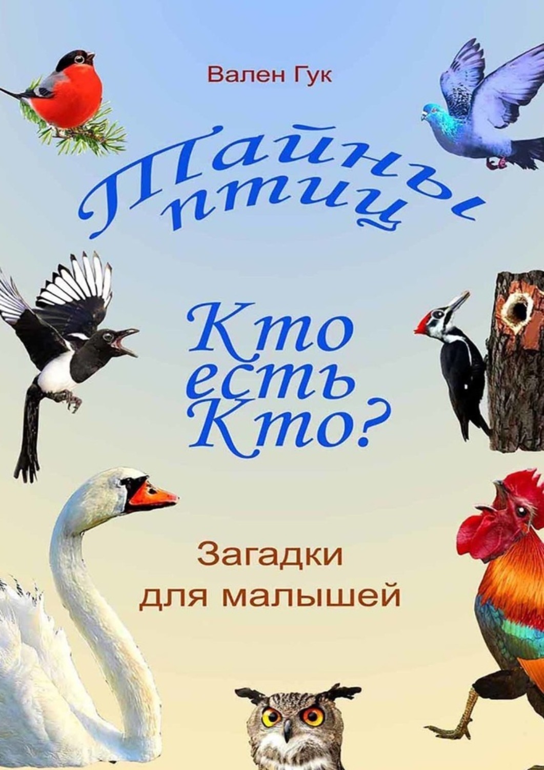 Загадки о птицах