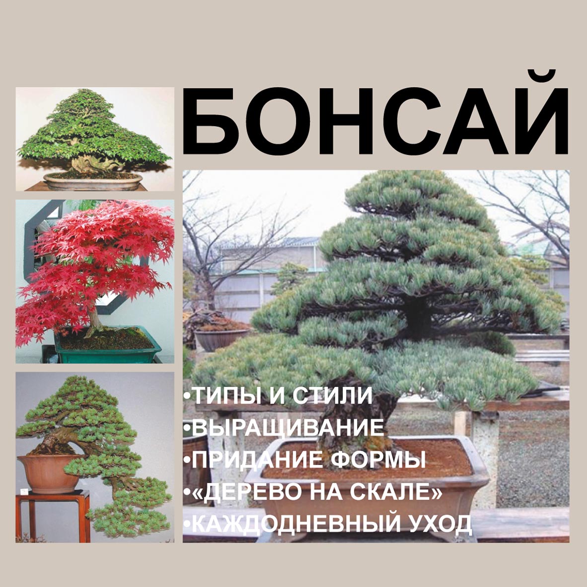 Библиотека