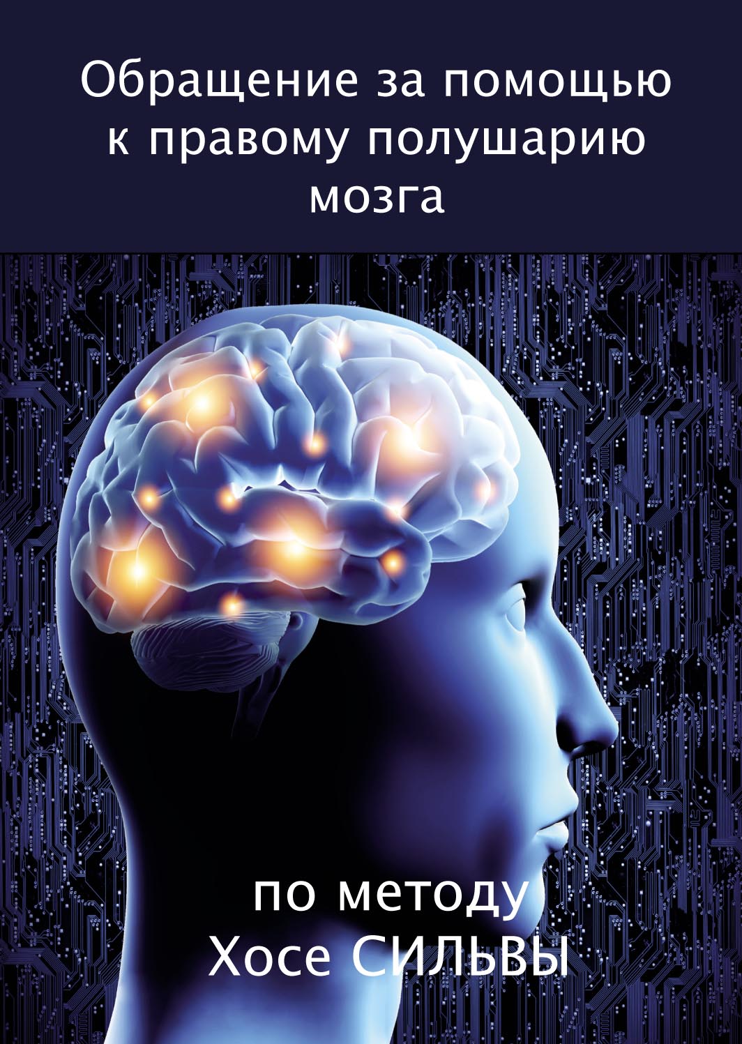 Метод Сильвы. Управление разумом, Филип Миэле – скачать книгу fb2, epub ...