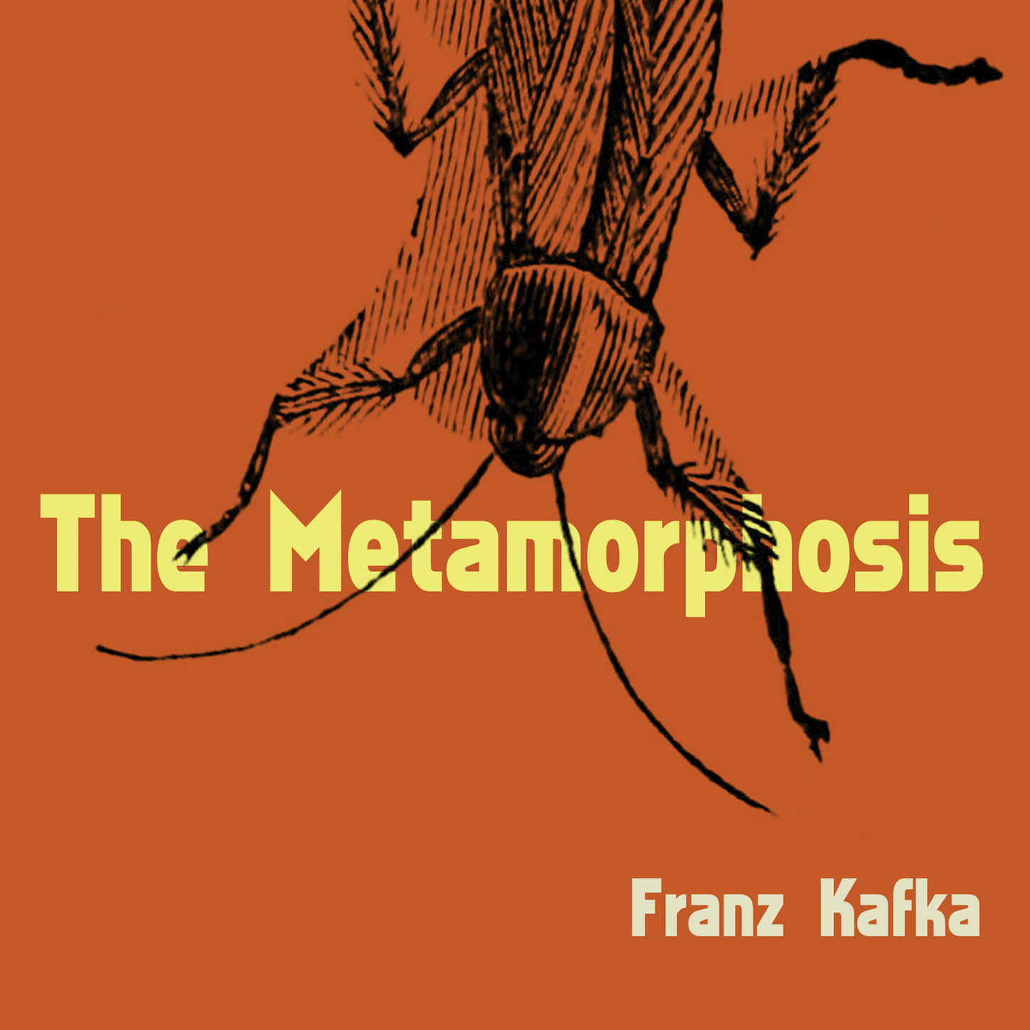 Аудиокнига метаморфозы. Franz Kafka Metamorphosis. The Metamorphosis by Franz Kafka. Metamorphosis обложка.