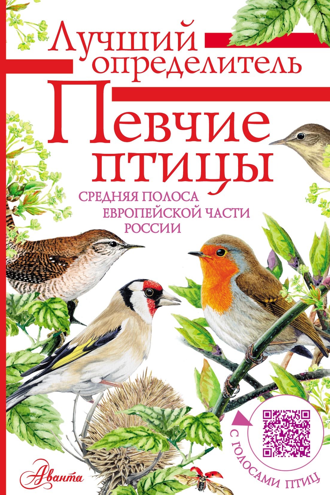 «Певчие птицы. Средняя полоса европейской части России. Определитель с ...