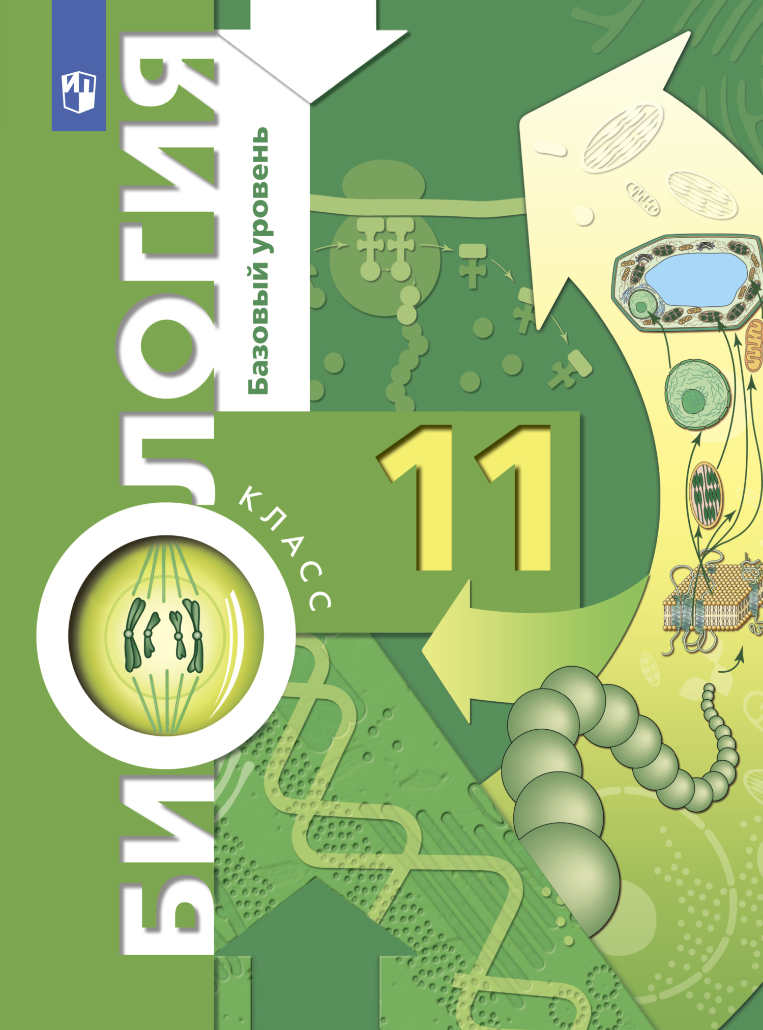 Биология. 11 класс. Базовый уровень, П. В. Ижевский – скачать pdf на ЛитРес