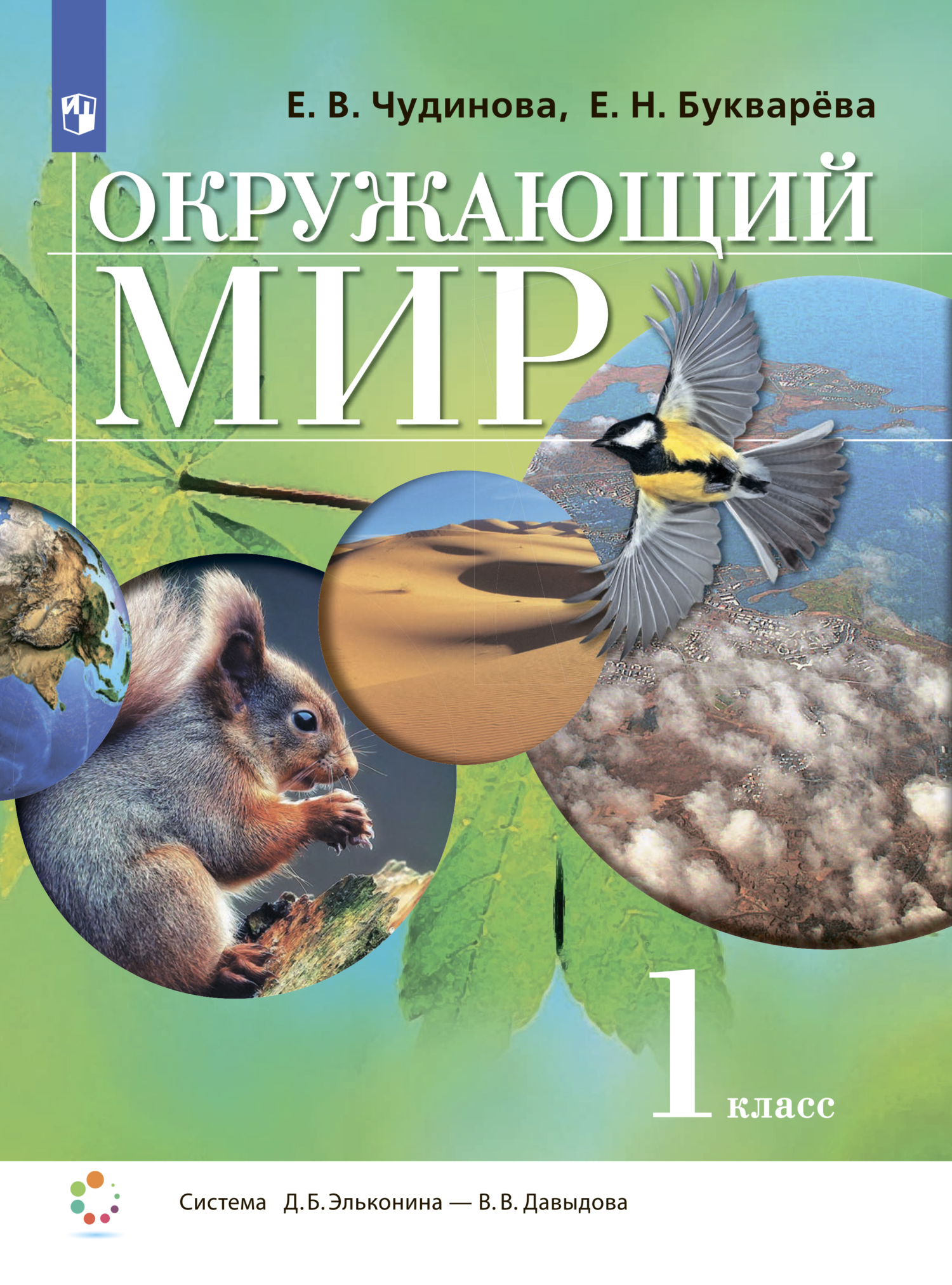 «Окружающий мир. 1 класс», Е. В. Чудинова – скачать pdf на Литрес