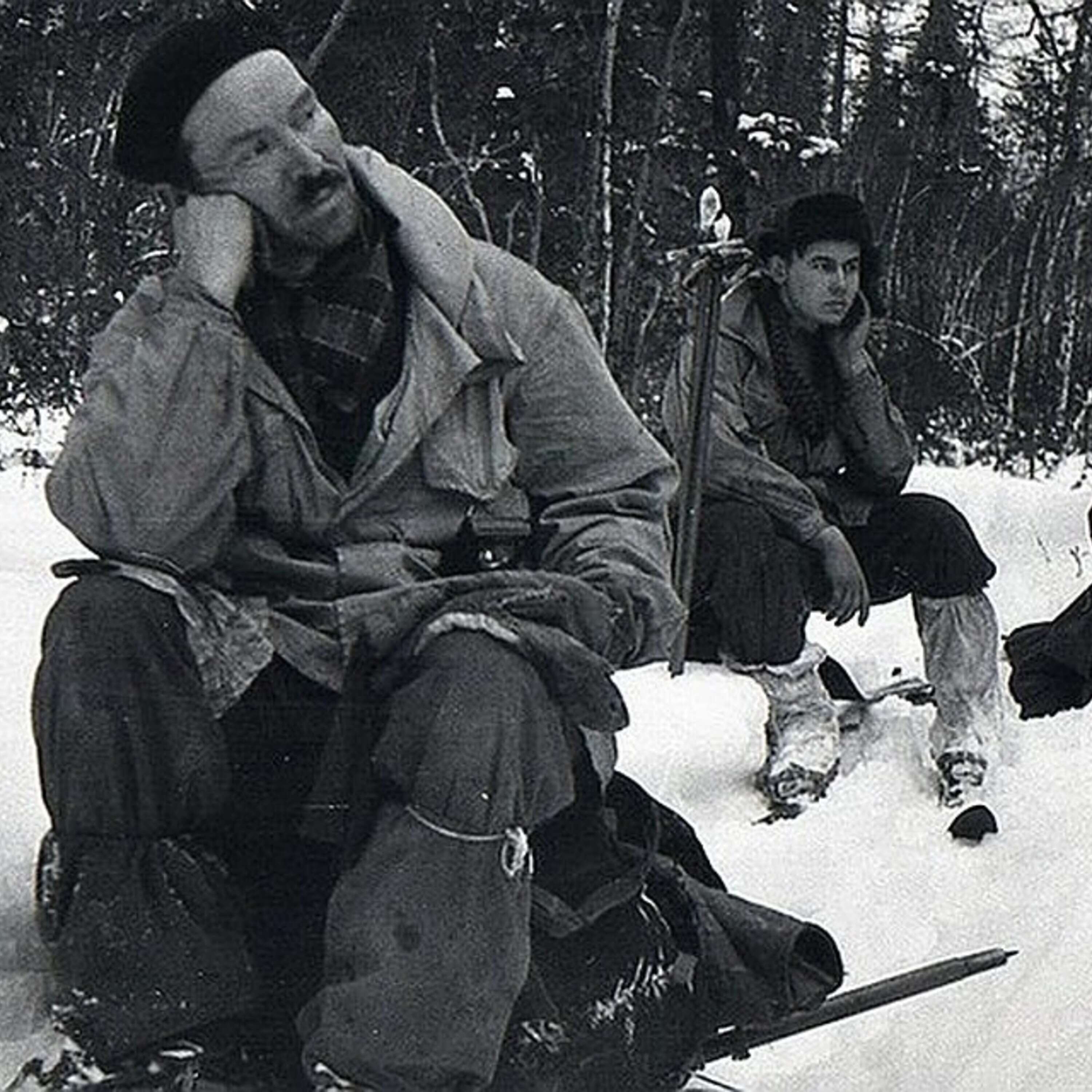 Дятлов фотографии