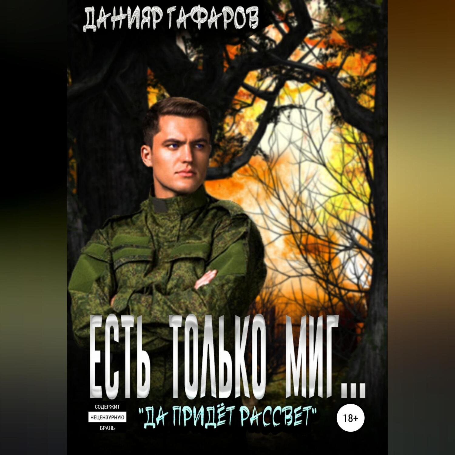 "миг" - перехватчик. Слушать аудиокнигу миг. Поселягин истребители. Слушать аудиокнигу миг. Слушать аудиокнигу миг.