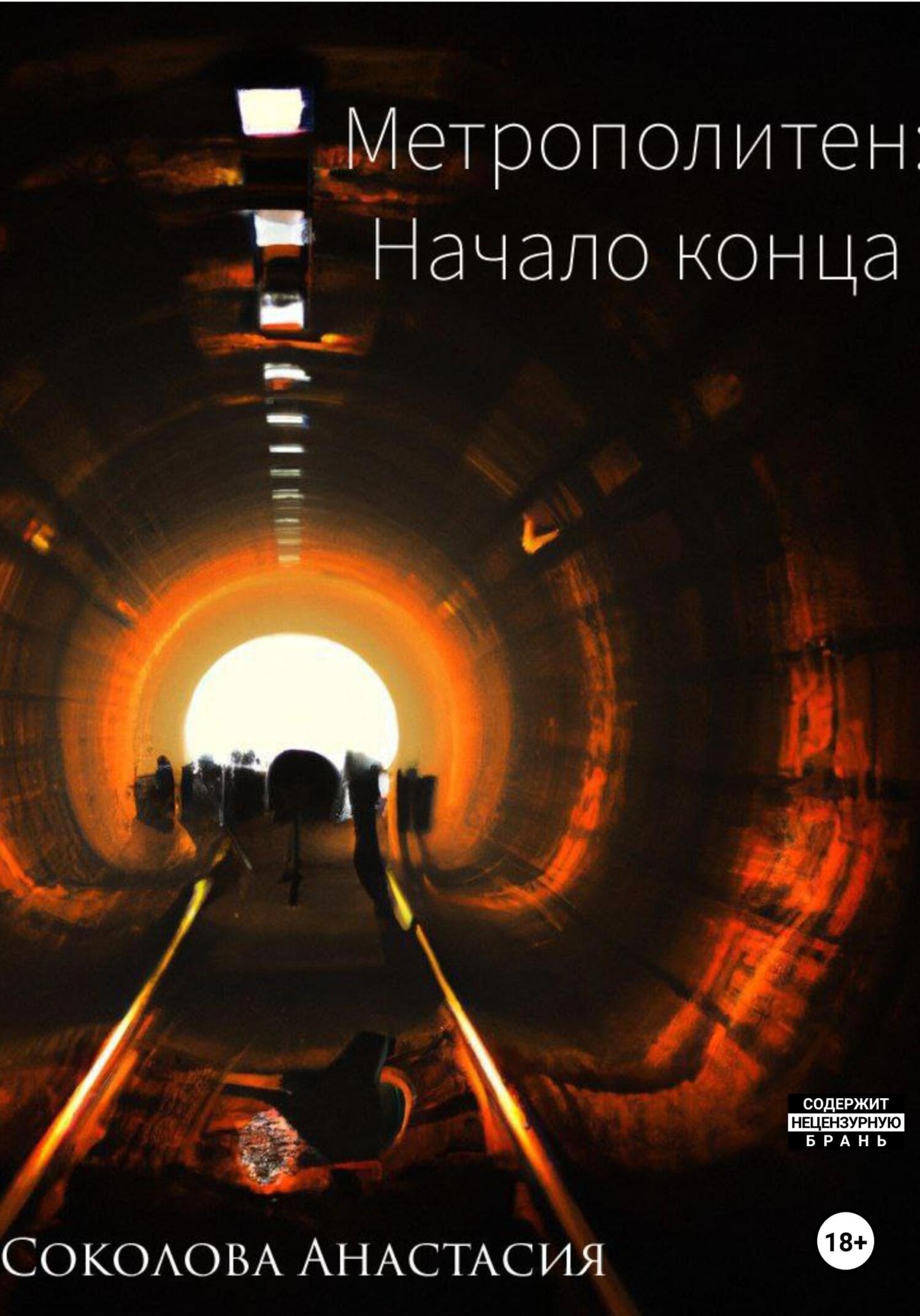 Метрополитен: начало конца, Анастасия Соколова – скачать книгу fb2 ...