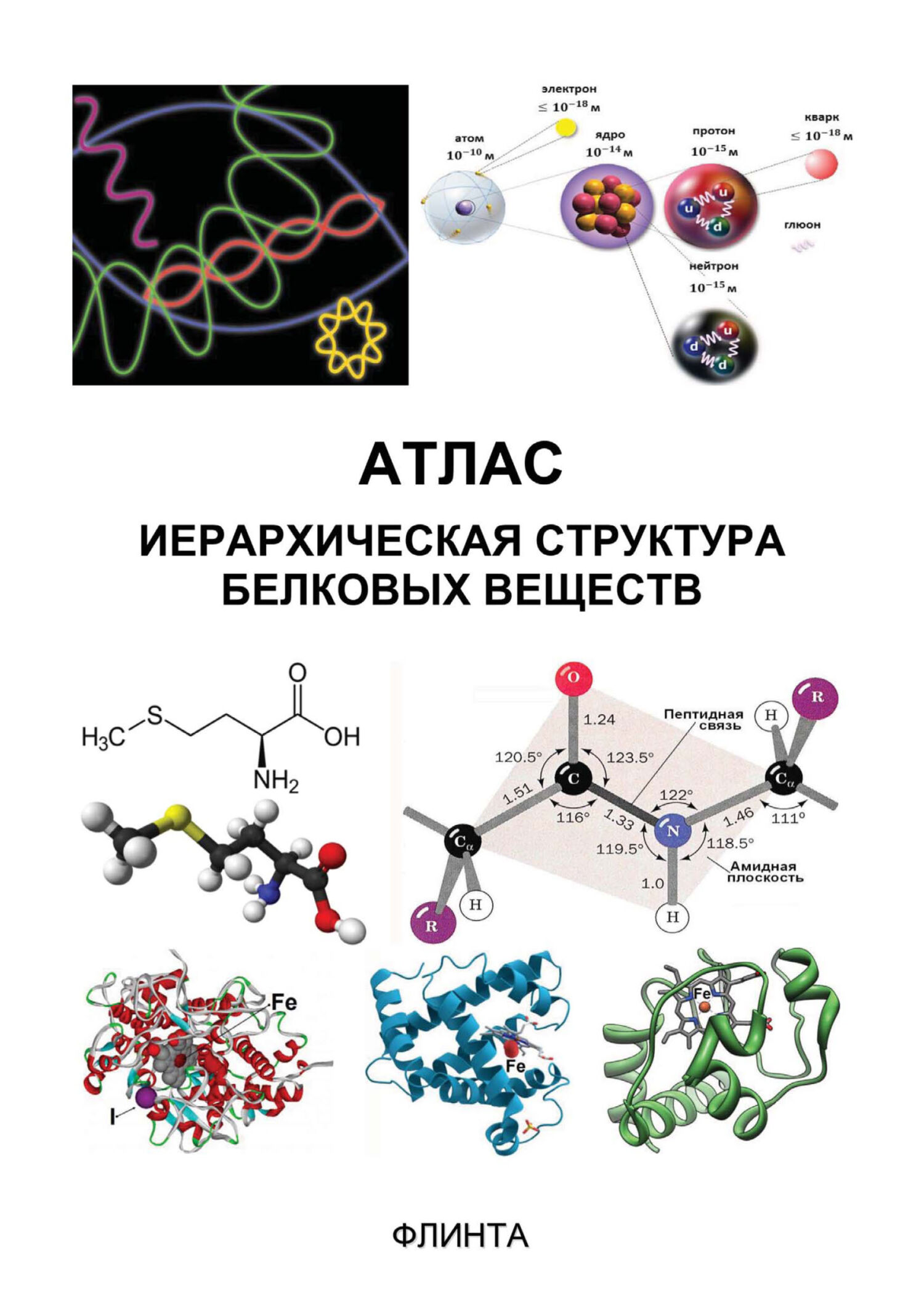 Какая структура у белков ферментов. Биохимия и молекулярная биология. Триптофангистидин структура соединения. 11. Строение белков. Иерархия структуры РНК.